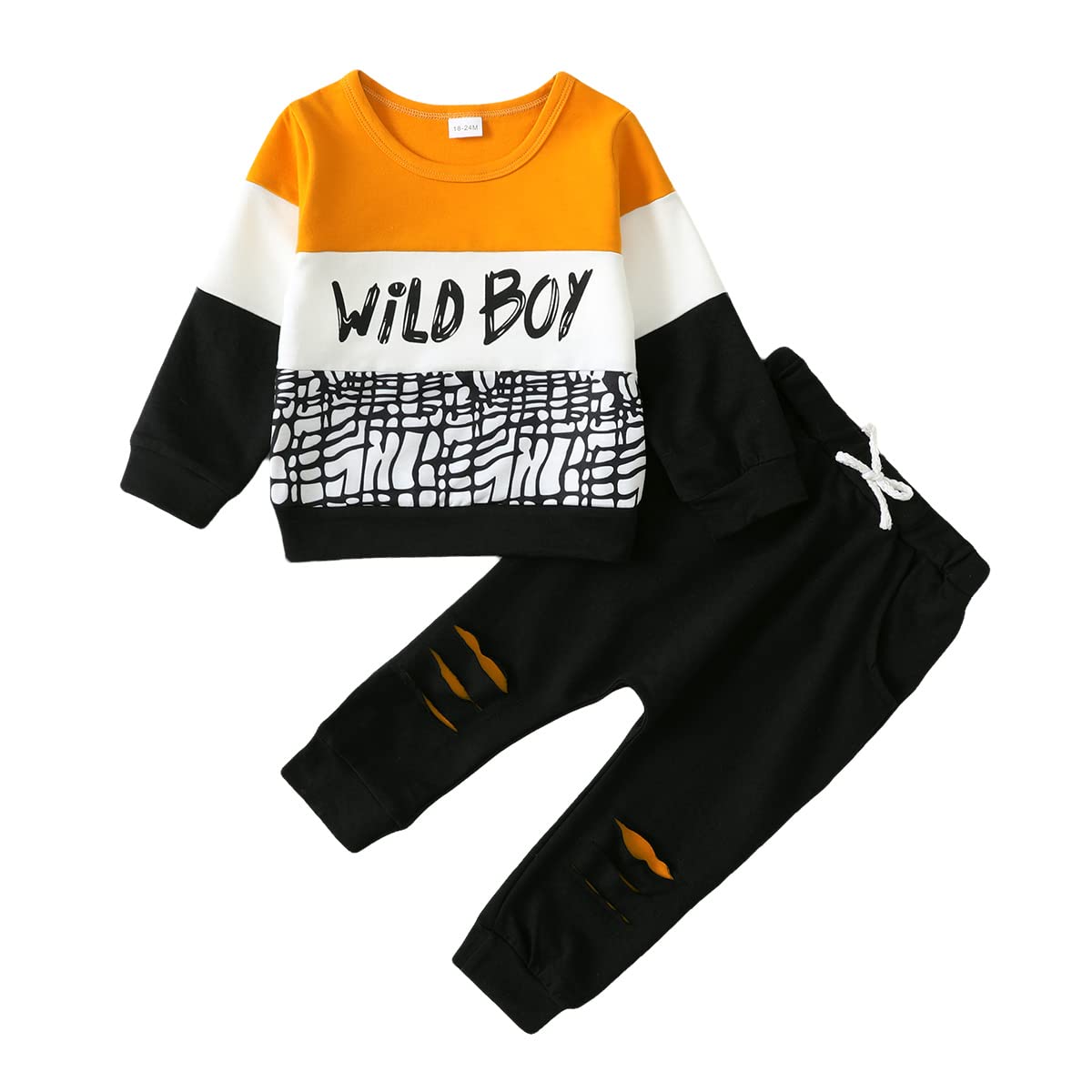 Toddler Boys Clothes Set - Long Sleeve Top & Pants for Fall