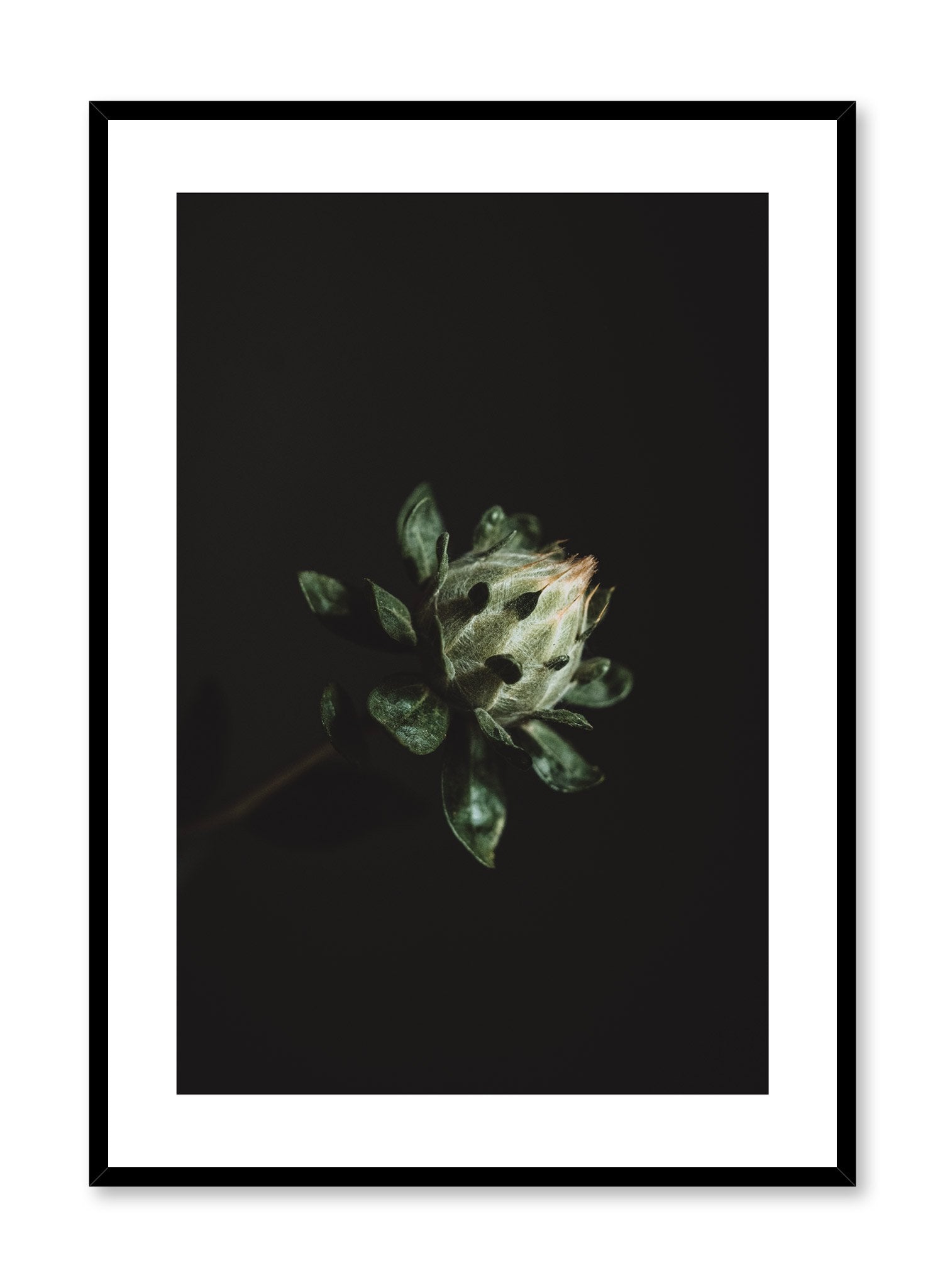 Blooming Plant Poster - Vibrant Floral Wall Art Decor for Home, Office, and Living Room - Perfect for Housewarming Gifts and Interior Design
