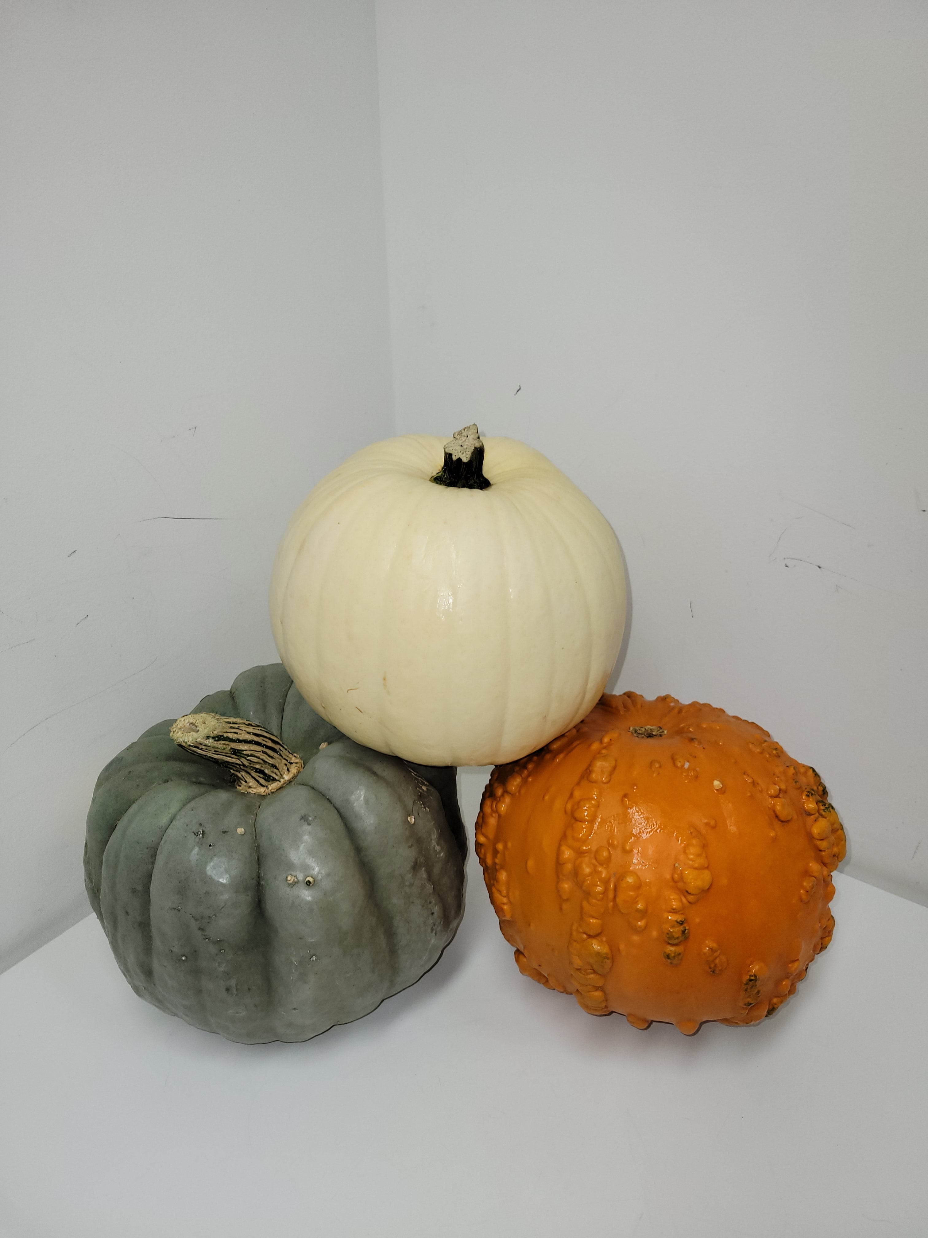 Pumpkin Special - Premium Pumpkin Decor & Gifts for Fall, Halloween & Thanksgiving | Perfect for Home Decor, Party Supplies & Seasonal Gifts