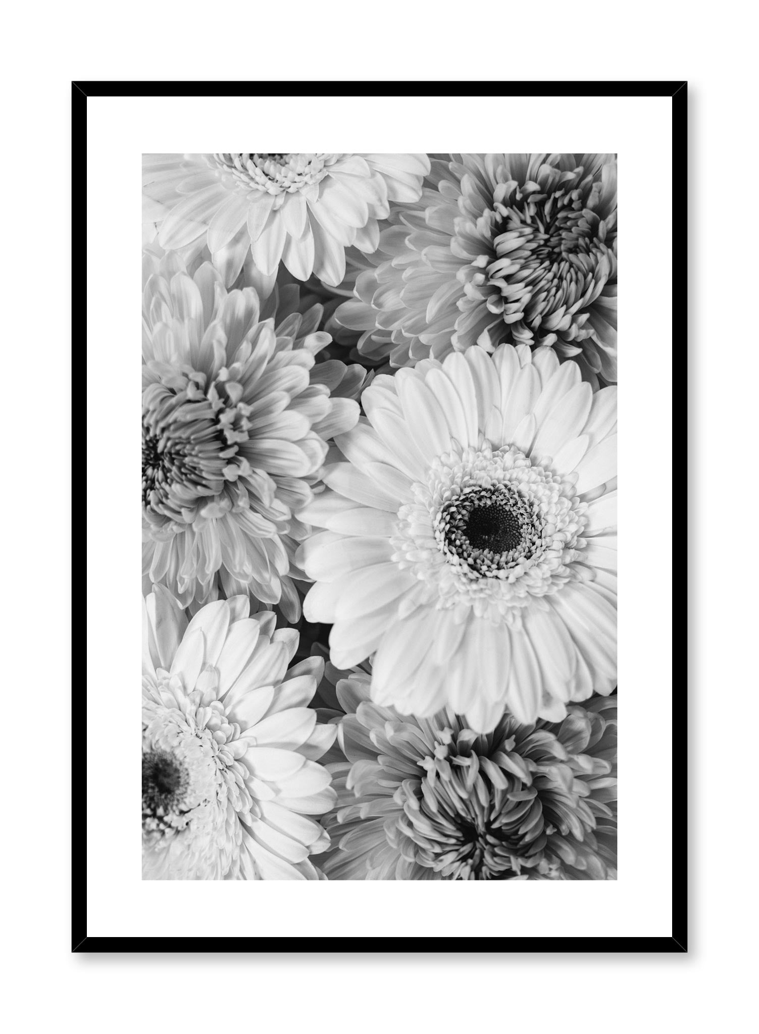 Fresh Gerbera Daisy Bouquet - Vibrant Floral Arrangement for Home Decor, Wedding Centerpieces & Gift Giving