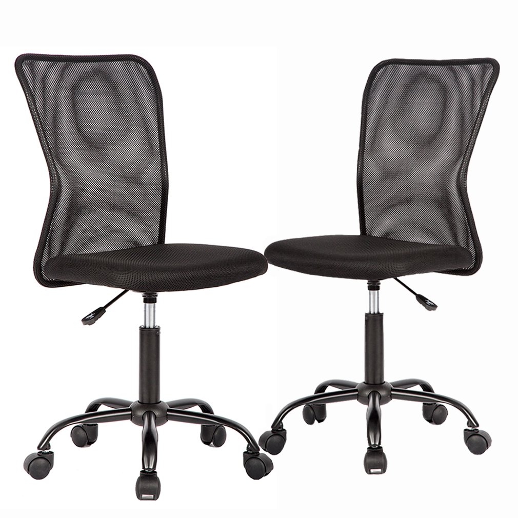 Ergonomic Office Chair - Mesh Computer Chair with Adjustable Lumbar Support, No Arms, Swivel Rolling Executive Chair for Back Pain Relief - 2 Pack (Black) - Perfect for Home Office, Gaming Setup, and Workspace Comfort