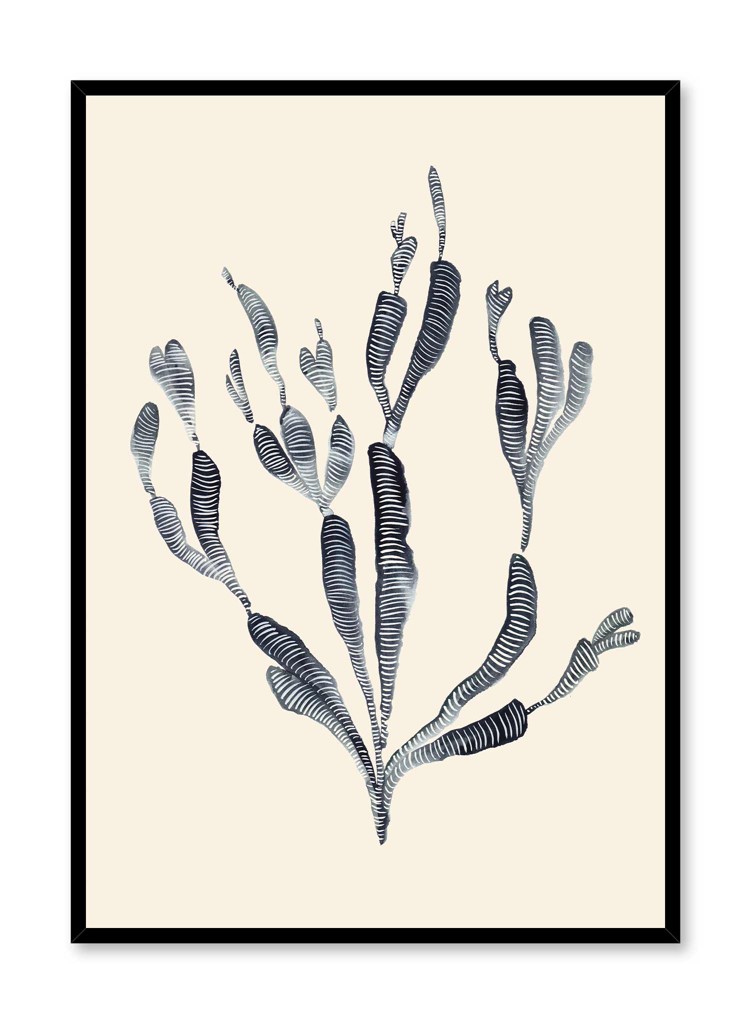 Acropora Coral for Saltwater Aquariums - Vibrant Marine Reef Decor | Perfect for Home & Office Aquascaping