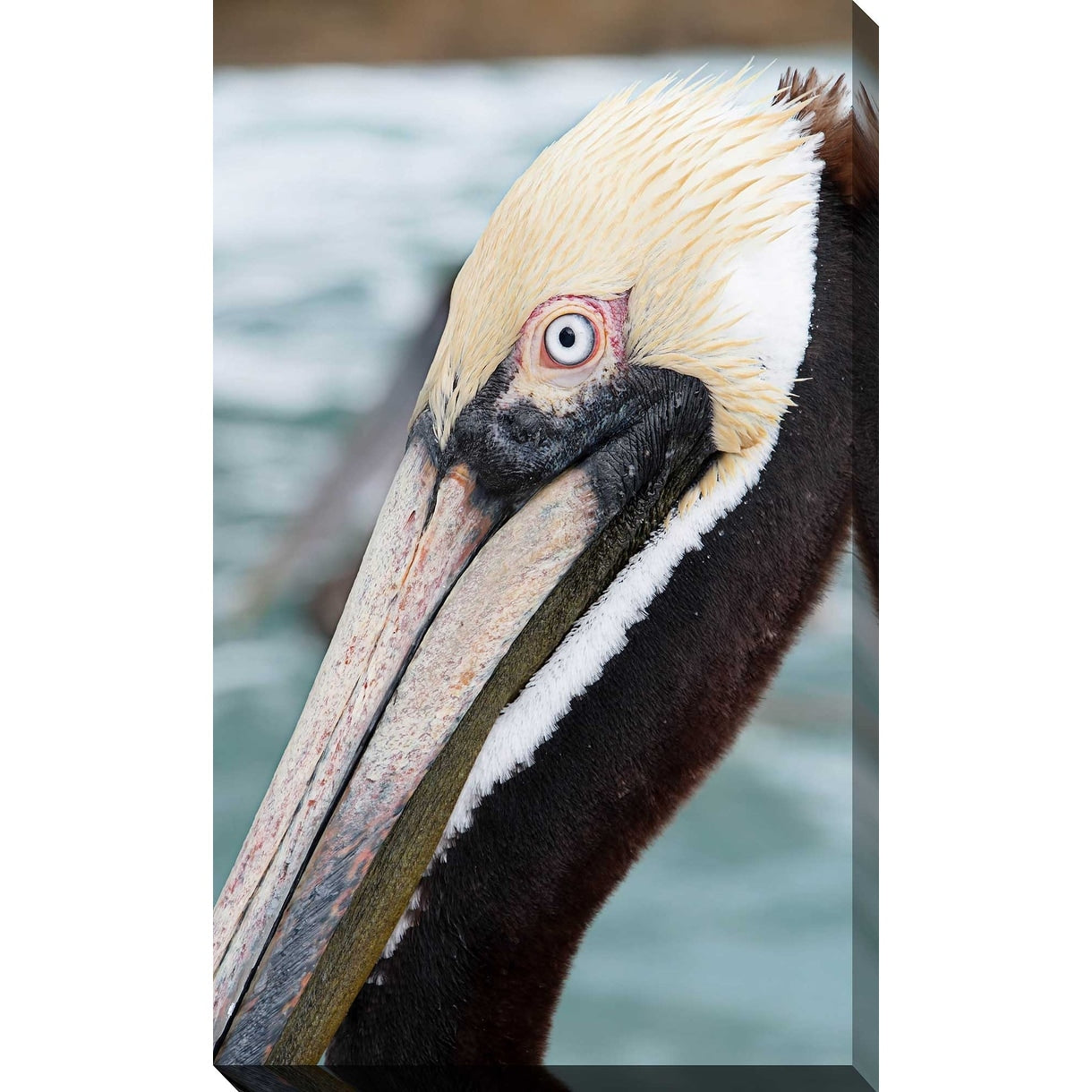 Bayside Pelican Canvas Wall Art - Coastal Decor for Living Room, Bedroom & Office - Handmade Stretched Canvas Print - Perfect Beach House & Nautical Theme Decor