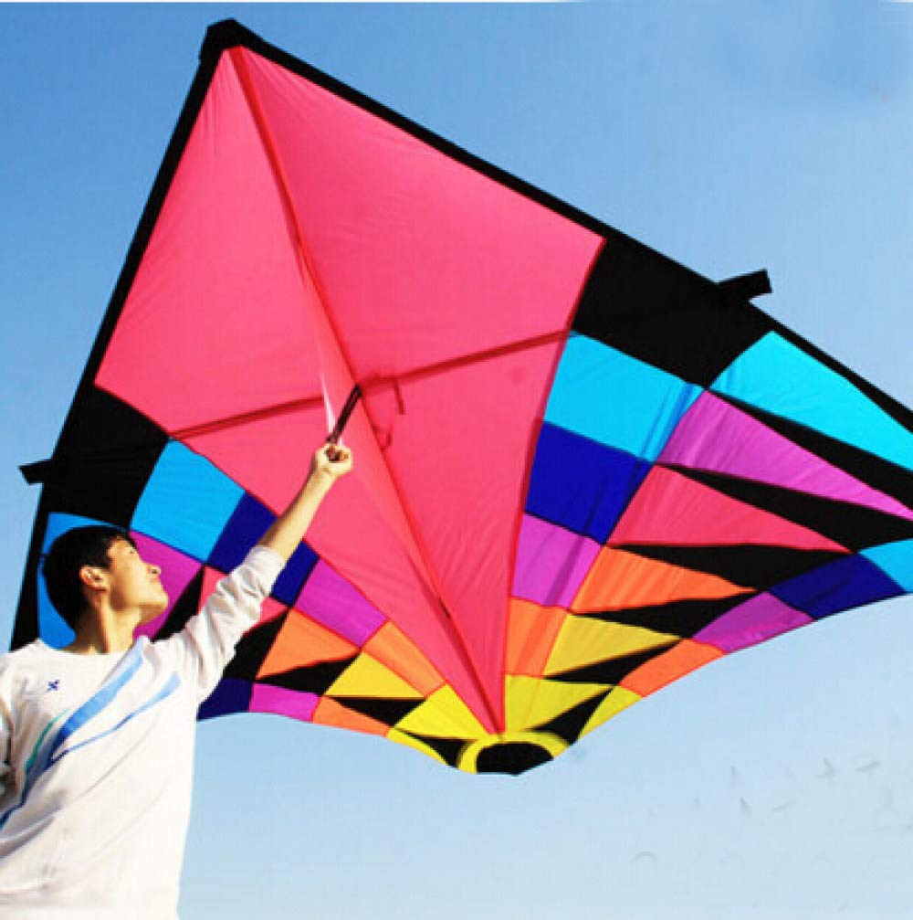 LOOMUCI Large Delta Kite - Premium Ripstop Nylon Sport Kite with Reel for Outdoor Fun | Dragon Kite for Beach, Park & Family Bonding Activities