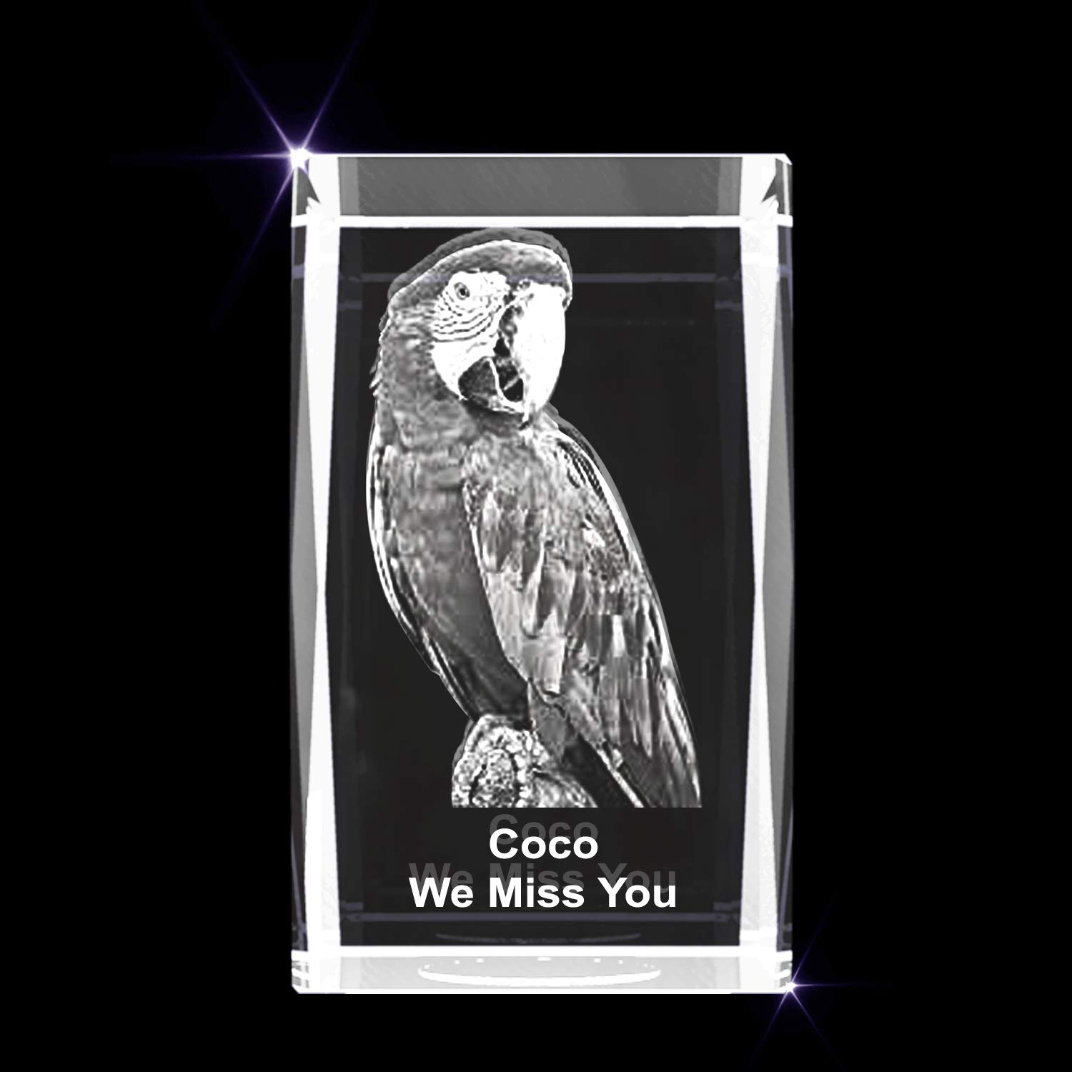 Personalized Pet 3D Engraved Crystal Photo Gift - Custom Engraving Memorial Keepsake for Dogs & Cats - Perfect for Pet Loss Remembrance, Anniversary Gifts & Home Decor (Large Rectangle)