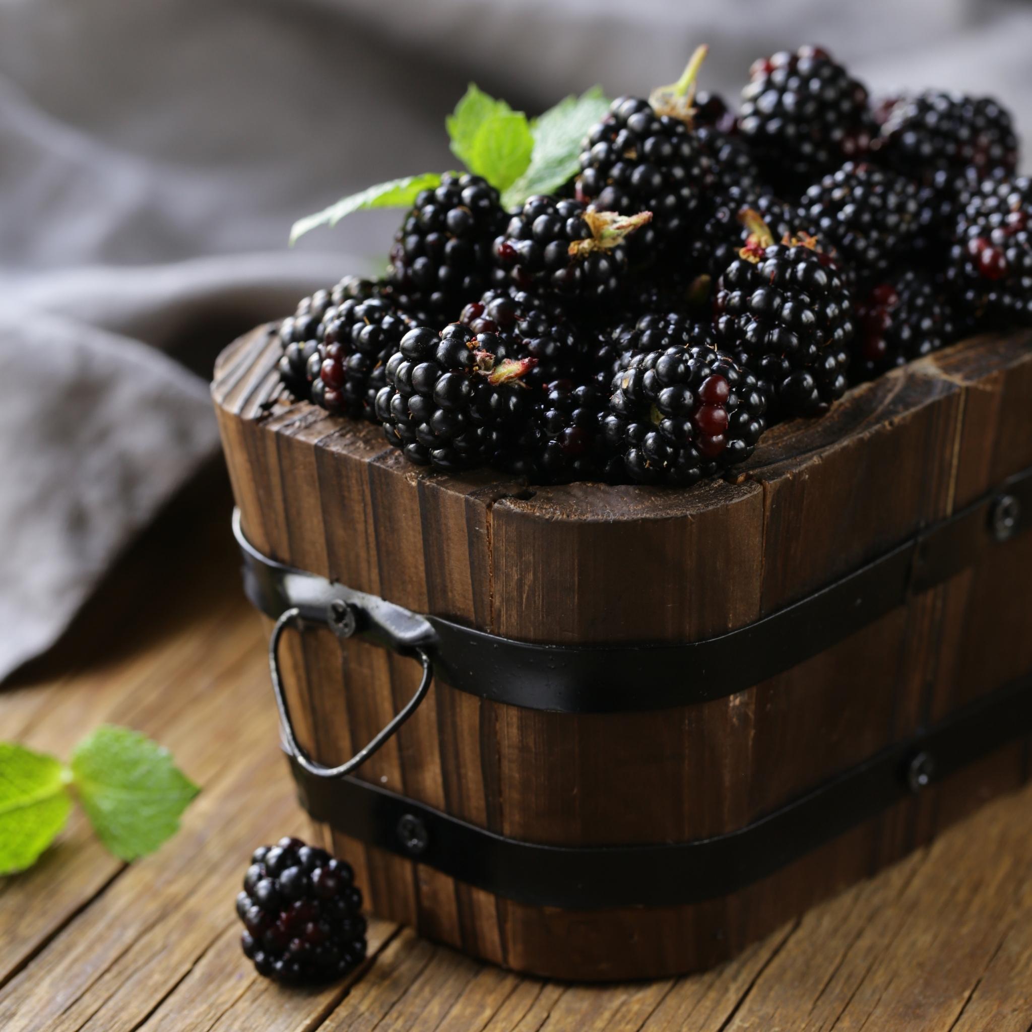 Premium Black Raspberry Vanilla Fragrance Oil - 100% Pure & Natural for Candles, Soaps, Diffusers & DIY Home Scents - Sweet Berry Aroma for Relaxation & Aromatherapy