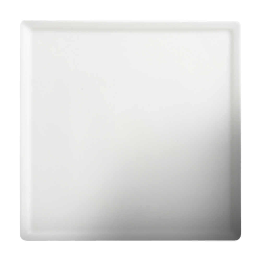 Cameo 8 Plate Set - 18 Plates per Case - Durable Dinner Plates for Restaurants, Catering & Home Dining