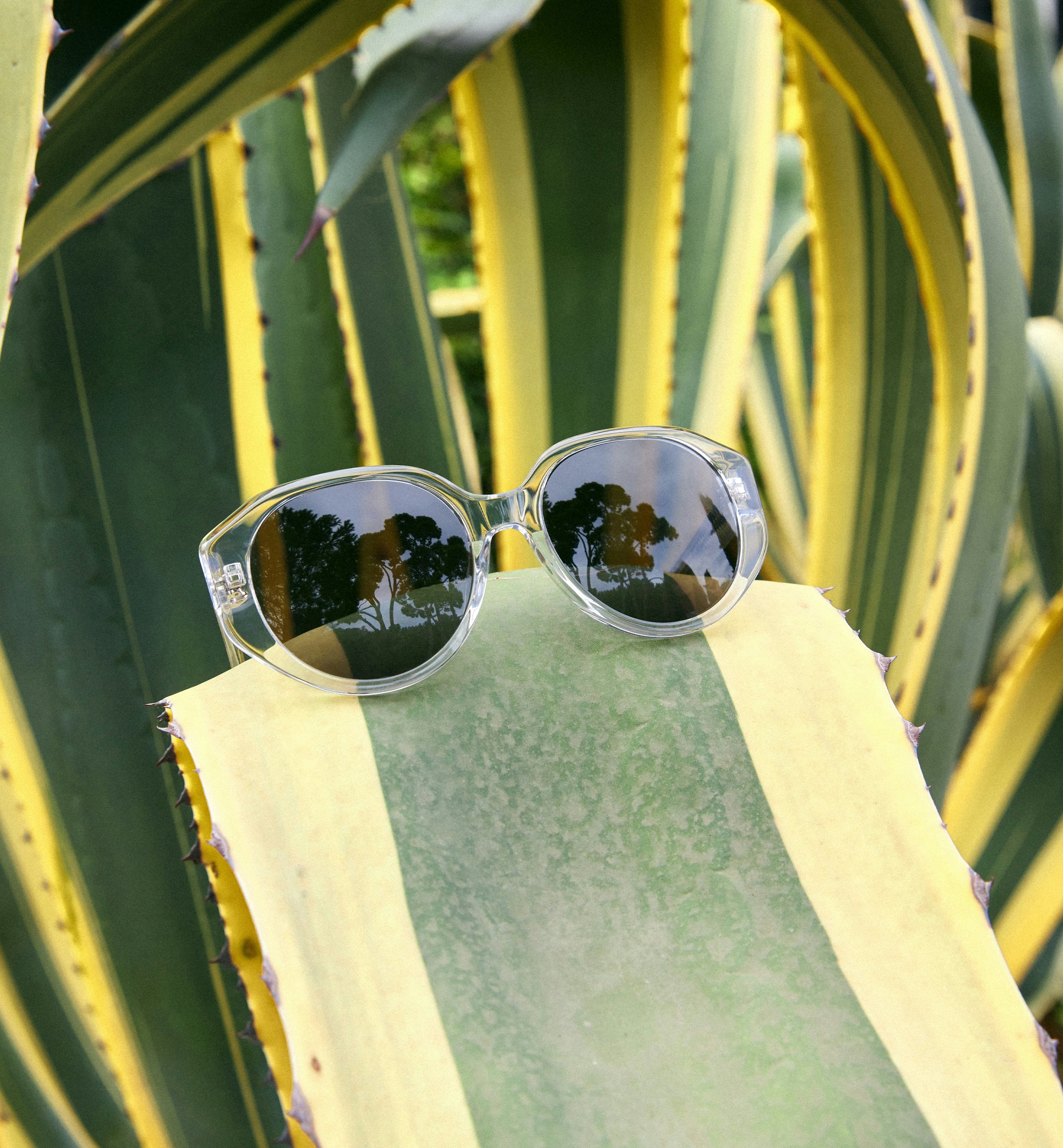 Ionia Sun Sunglasses - UV Protection Polarized Shades for Men & Women - Perfect for Beach, Driving, and Outdoor Activities