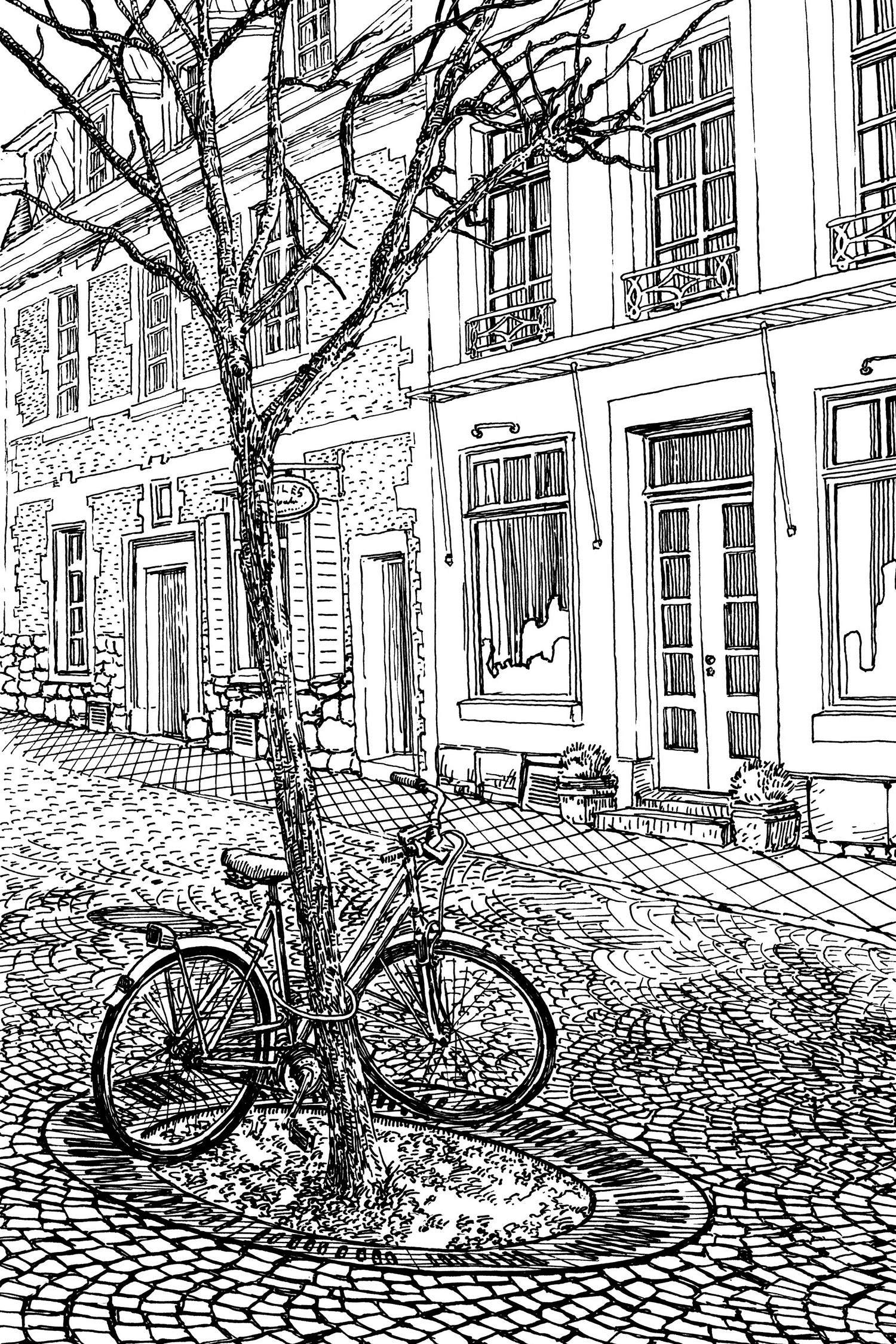 Aachen Bike - Premium Mountain & Road Bikes for Adults - Lightweight Aluminum Frame, Shimano Gears - Perfect for Commuting, Trail Riding & Outdoor Adventures