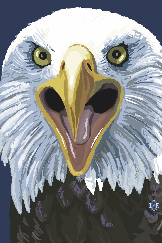 Eagle Up Close - 24x36 Gallery Quality Metal Wall Art, Aluminum Home Decor for Living Room, Office & Outdoor Spaces