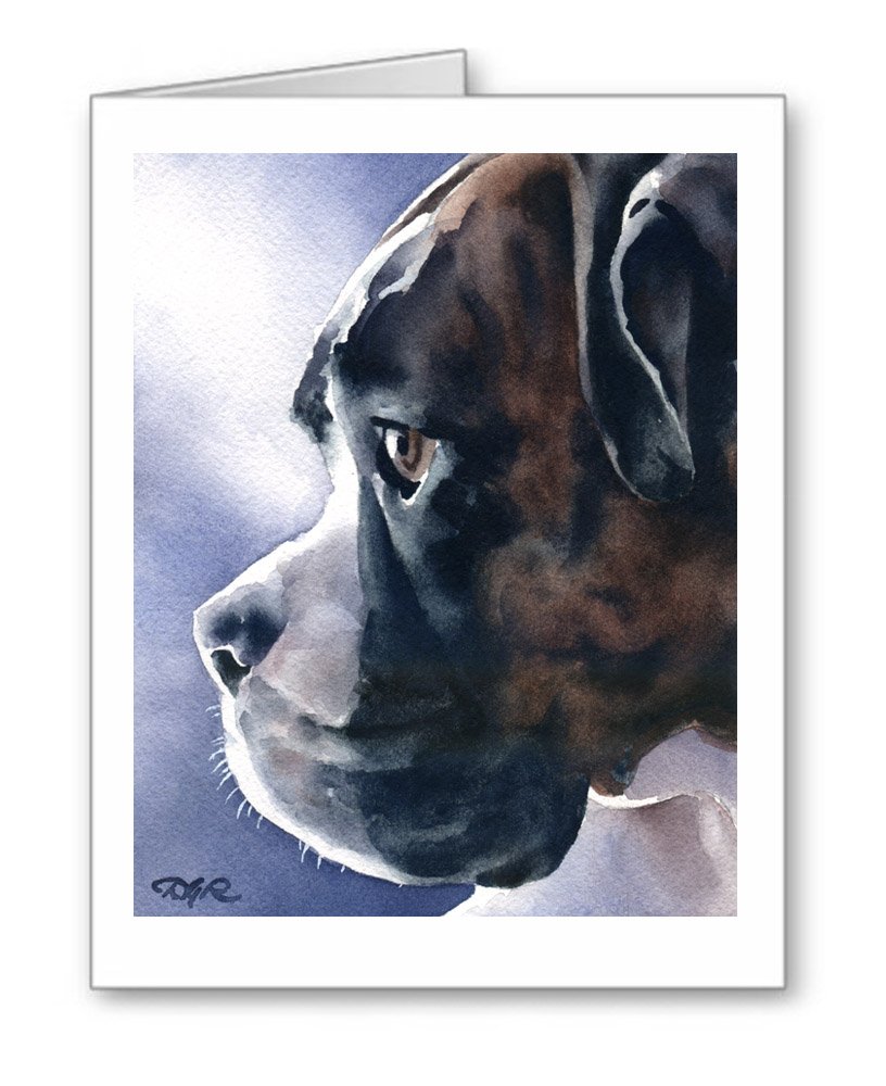 Boxer - Set of 10 Premium Note Cards with Matching Envelopes | Perfect for Thank You Notes, Greetings & Special Occasions