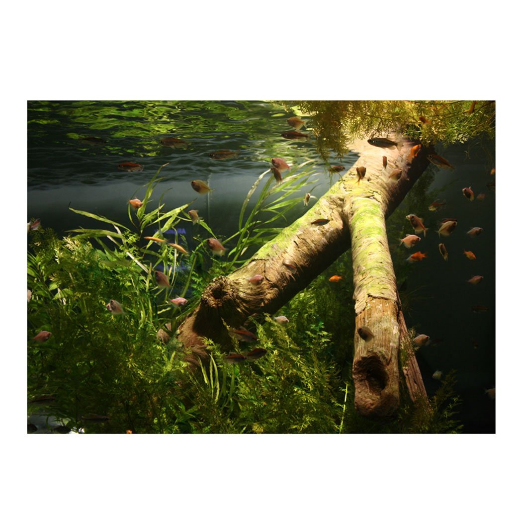 YOKOU Fish Tank Backdrop - 35.4