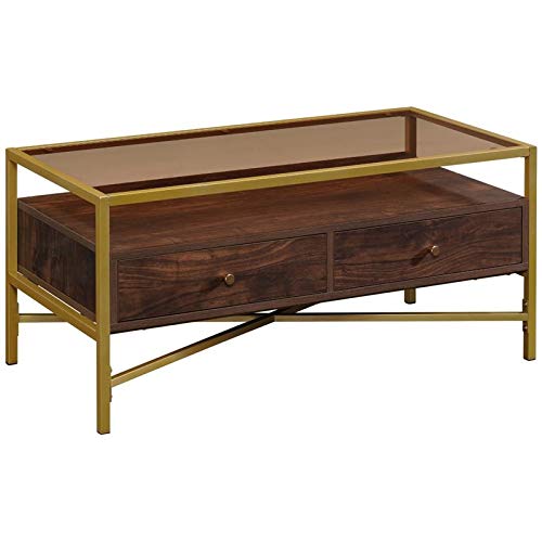 Pemberly Row Glass Top Storage Coffee Table - Rich Walnut & Gold Finish - Modern Living Room Furniture for Small Spaces & Home Decor