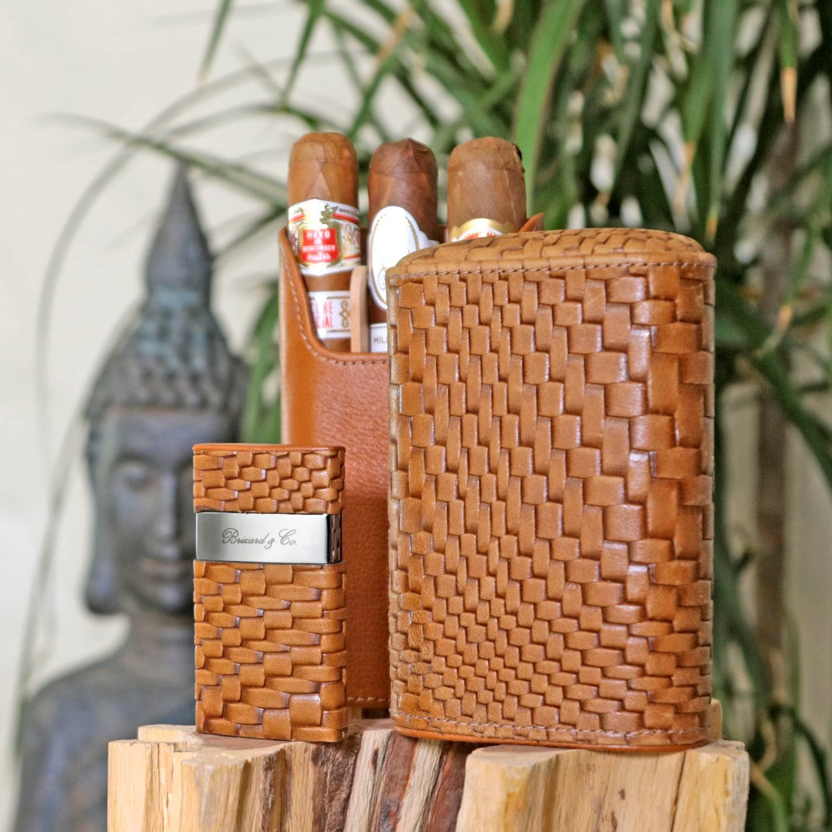 Brizard & Co Showband 3 Gordo Bali Cigar Case - Premium Leather Cigar Holder for Men | Travel & Outdoor Cigar Accessories