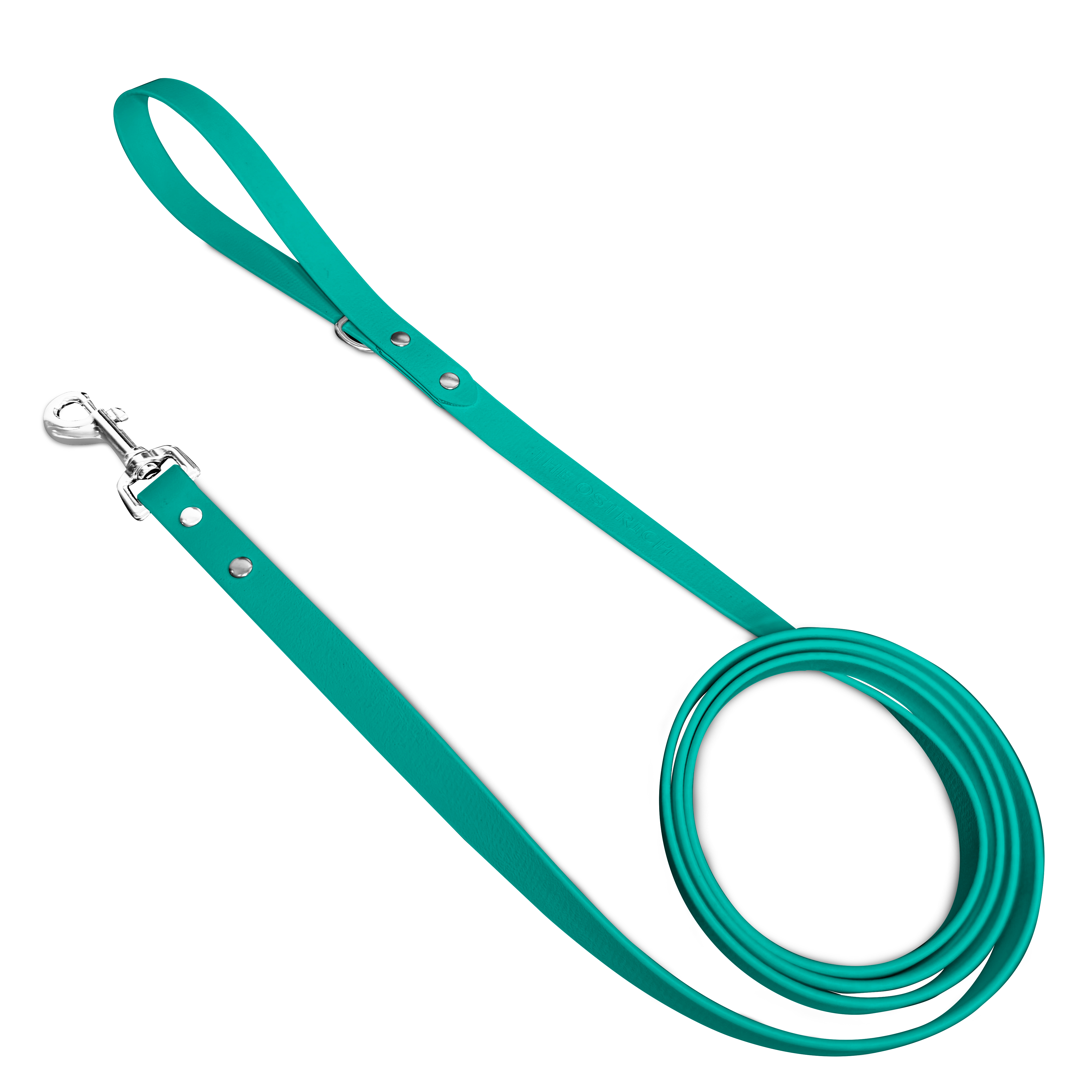 Premium Turquoise Classic Dog Leash - Durable & Stylish for Small, Medium & Large Dogs - Perfect for Walking, Training & Outdoor Adventures