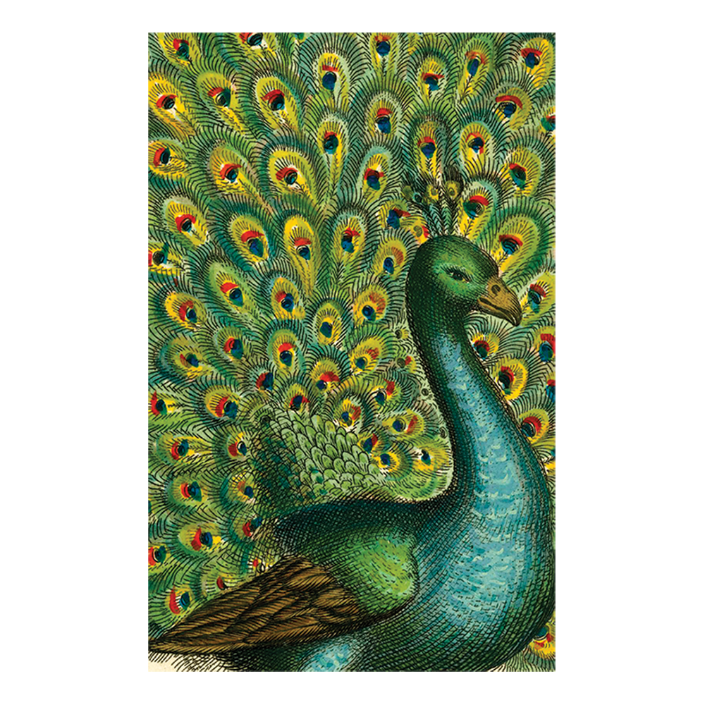 Stylish Coy Peacock 2 - Trendy Home Decor & Unique Gift Idea for Living Room, Bedroom, or Office