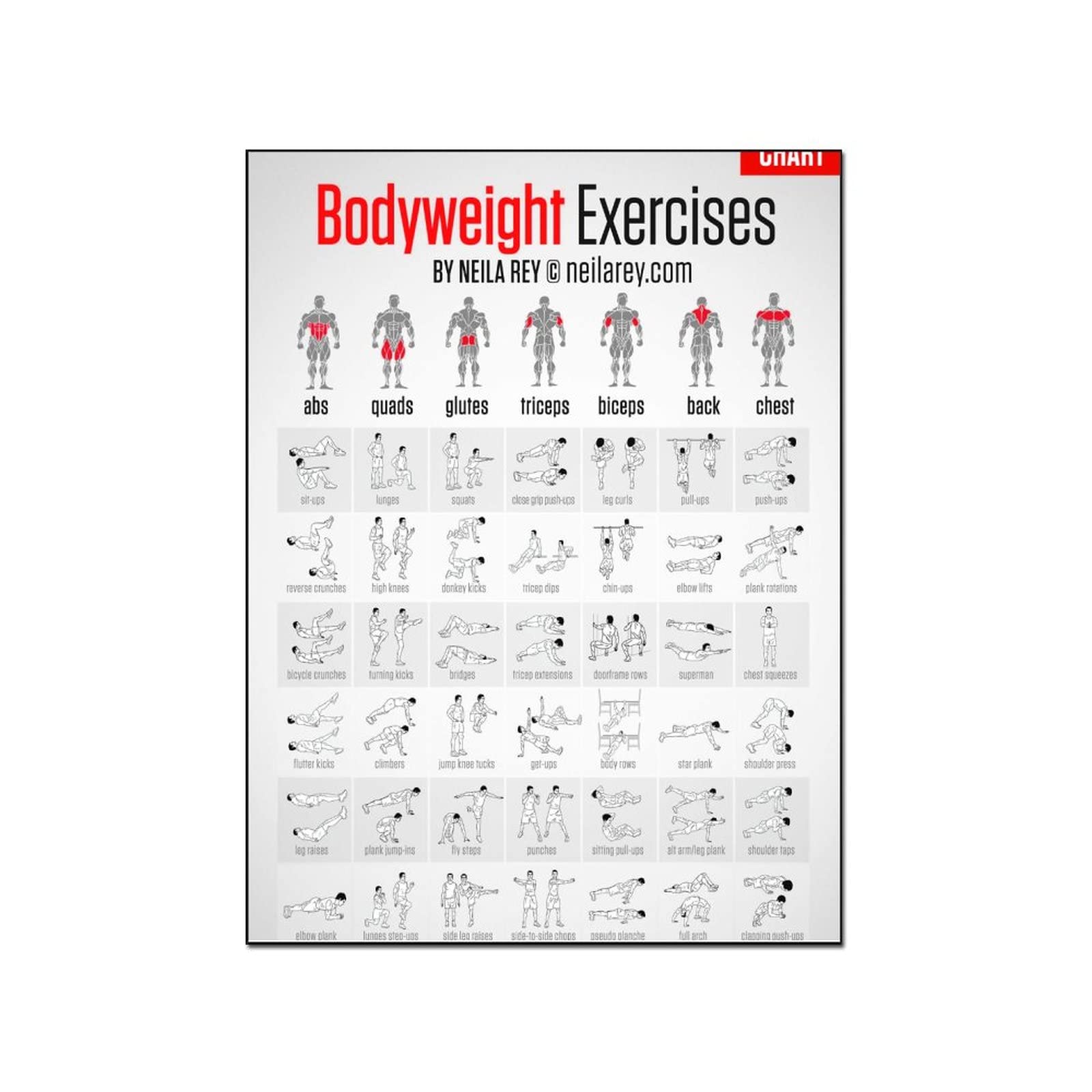 Bodyweight Workout Fitness Muscle Wall Art - 24x32 Inch (60x80cm) Framed Canvas Painting Poster - Gym & Home Decor for Living Room, Bedroom, Office - Motivational Exercise Artwork for Fitness Enthusiasts