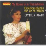 My Home Is in Transylvania by Ottilia Mate - Gothic Horror Novel, Vampire Fiction Book - Perfect for Halloween Reading & Dark Fantasy Lovers