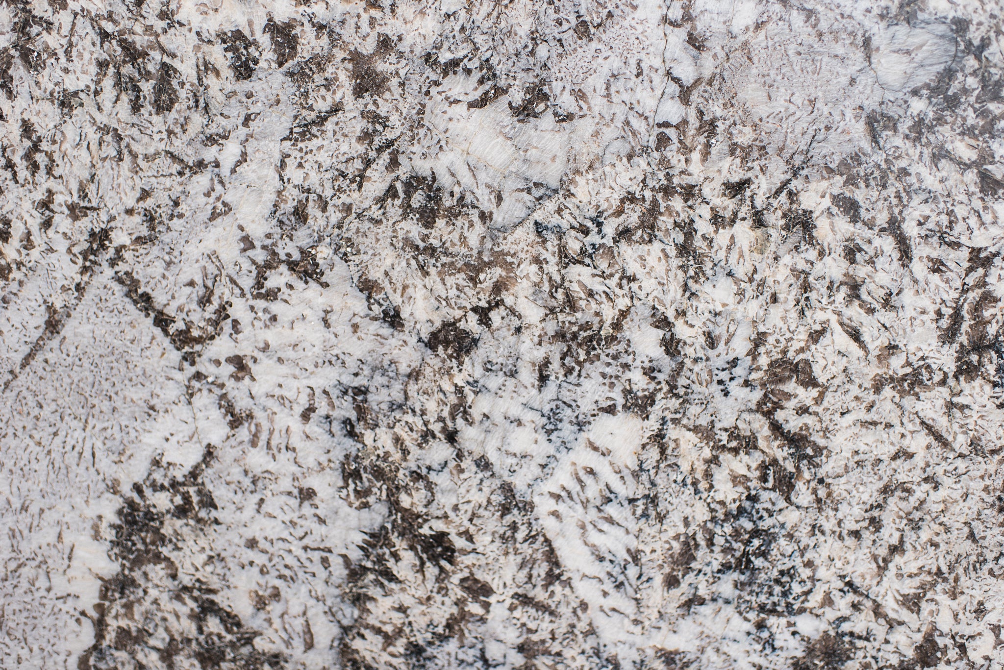 Bianco Antico Granite Countertop Slabs - Premium Natural Stone for Kitchen & Bathroom Renovations | Durable & Elegant Surface for Countertops, Islands, and Vanities