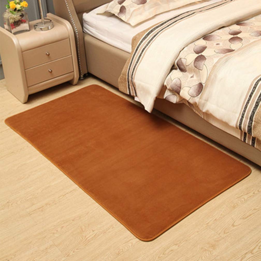 Soft Coral Fleece Non-Slip Area Rug - 1.3'x2' Rectangular Modern Home Decor Carpet for Living Room, Bedroom, Nursery | Indoor/Outdoor Use, Kids Play Area & Cozy Floor Mat