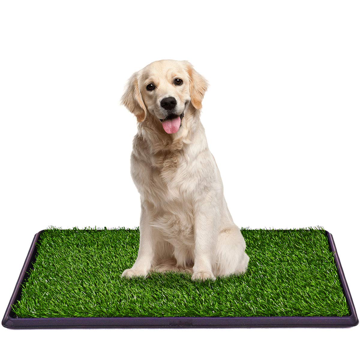 Giantex Dog Puppy Potty Training Pad - 30