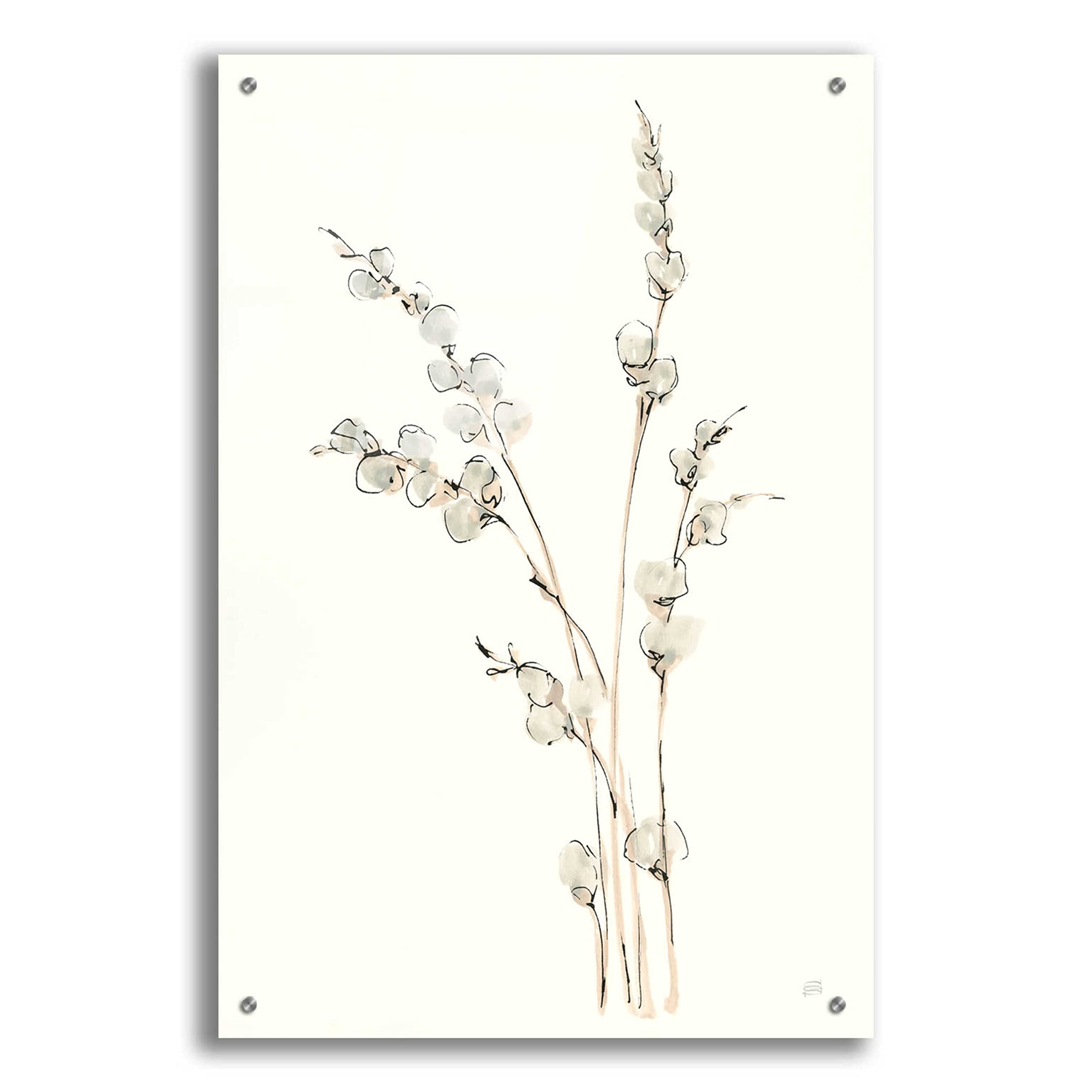 Chris Paschke 'Pussy Willows IV' Acrylic Glass Wall Art - 24x36 Inches Modern Floral Painting for Living Room, Bedroom & Office Decor