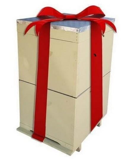 Store Gift Card - Perfect for Birthdays, Holidays & Special Occasions | Online Shopping & Gifting Solution
