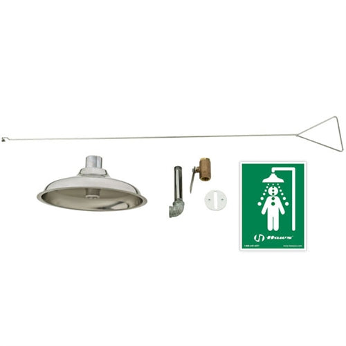 Haws 8163 Concealed Ceiling Drench Shower with Stainless Steel Shower Head - Commercial & Residential Use for Spa, Gym, and Luxury Bathrooms