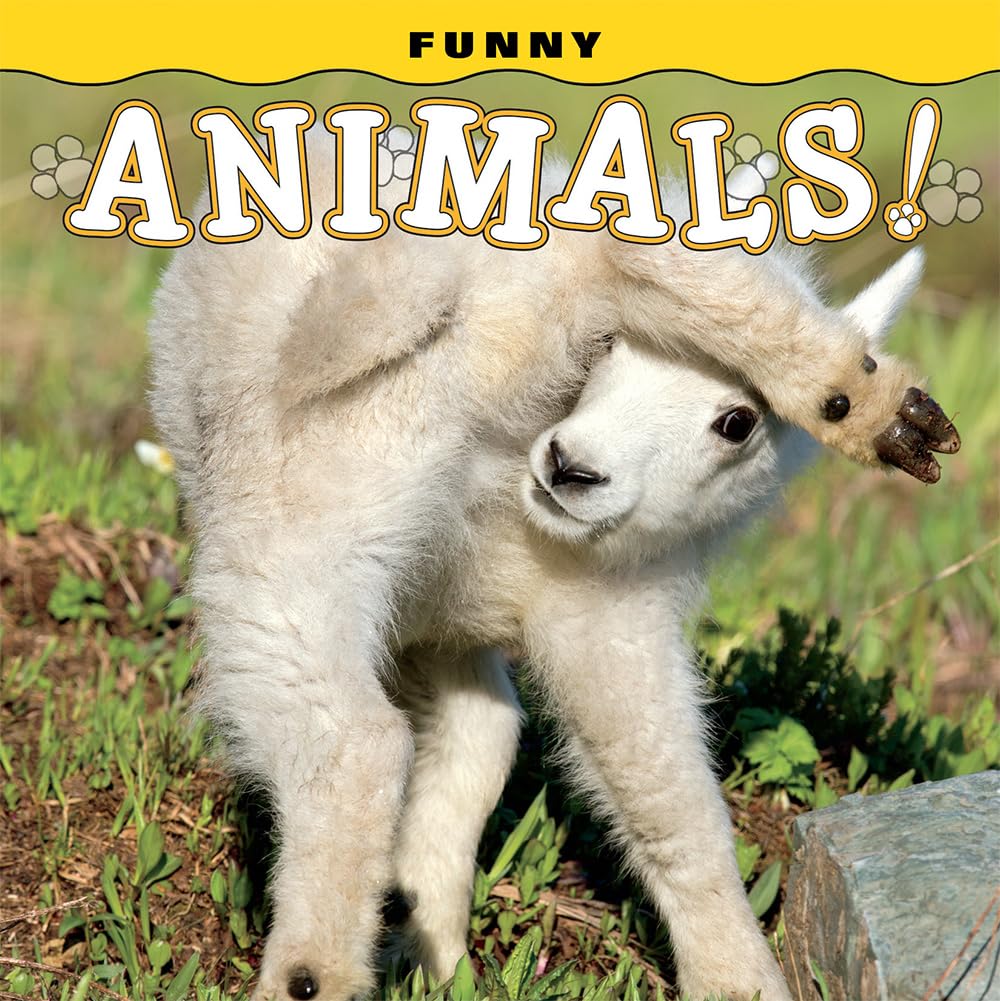 Funny Animal Babies Book - Adorable Wildlife Photography for Kids & Toddlers - Perfect for Bedtime Stories, Early Learning, and Family Reading Time