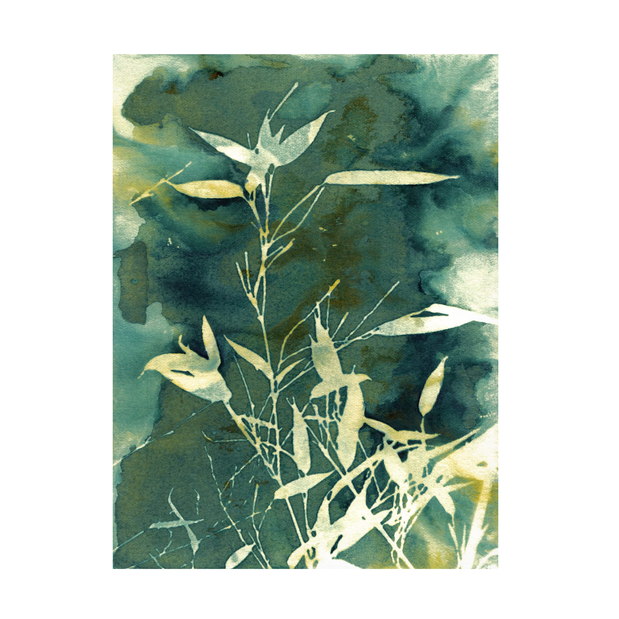 Trademark Fine Art 'Bamboo Garden' Canvas Wall Art Print by Krista McCurdy - Asian Inspired Home Decor for Living Room, Bedroom & Office