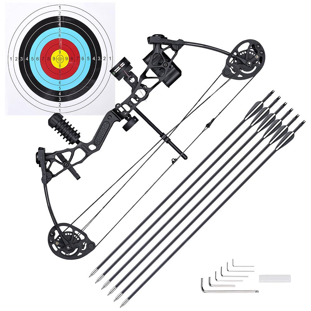 TheLAShop Youth Compound Bow and Arrow Set - 6 Arrows Included | Perfect for Beginners, Outdoor Target Practice & Hunting Training | Lightweight & Adjustable for Teens & Kids
