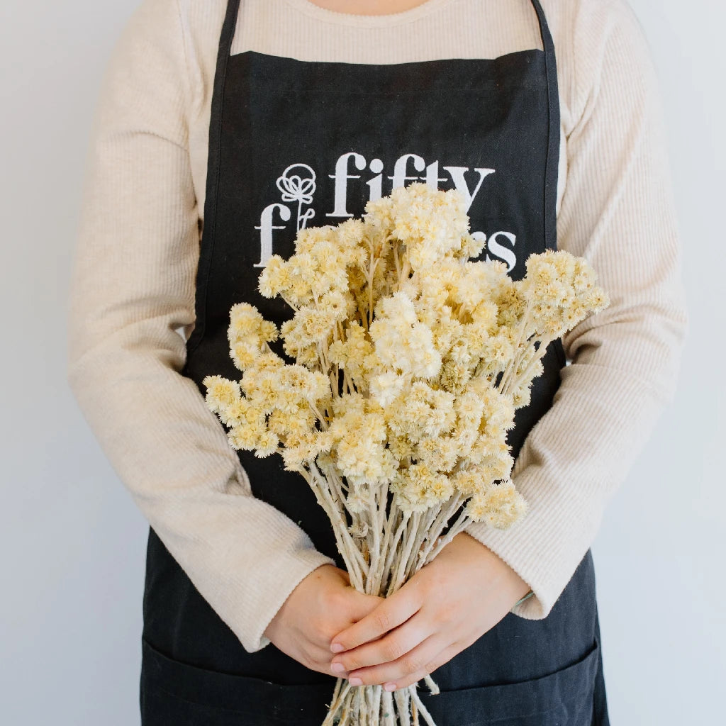 Premium Dried Andean Asters Flowers - Natural Bleached White for DIY Crafts, Home Decor & Wedding Bouquets | Bulk Wholesale for Floral Arrangements