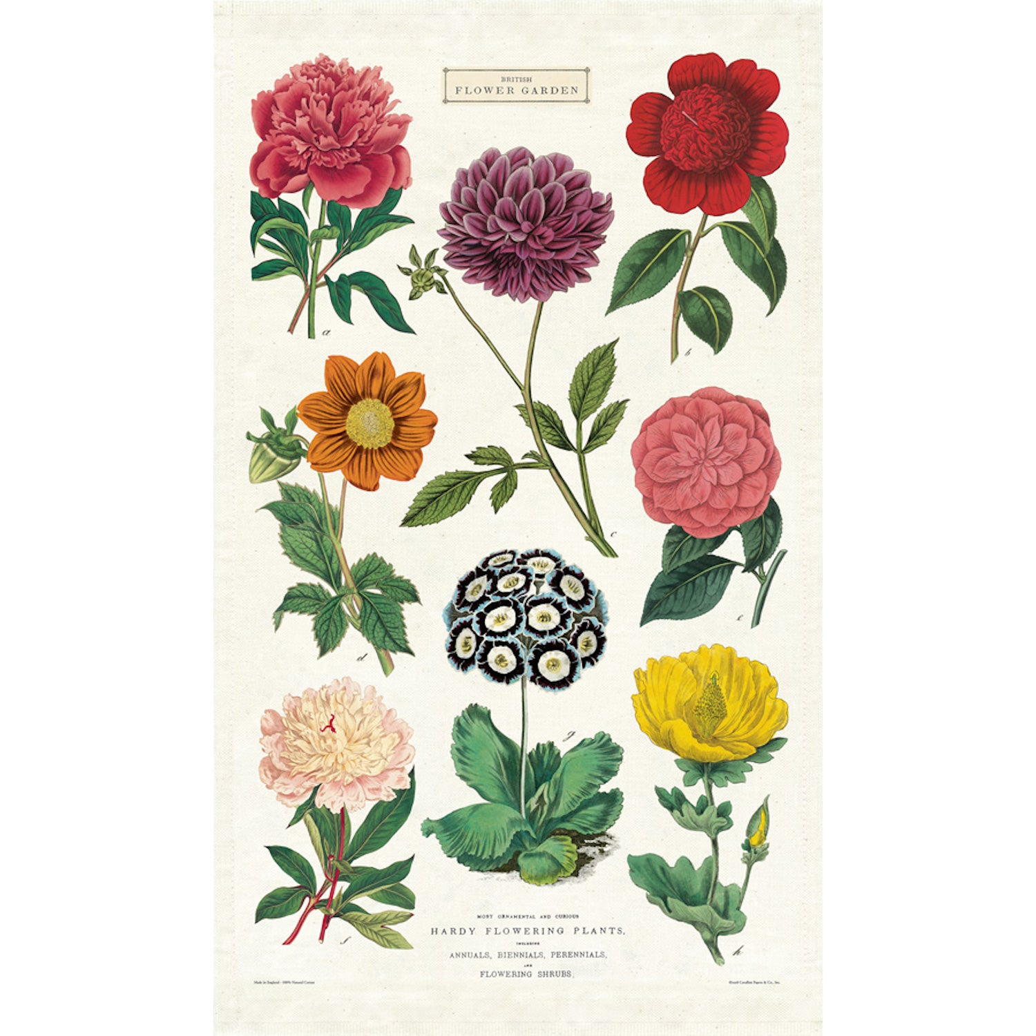 Organic Cotton Botanica Tea Towel Set of 2 - Floral Printed Kitchen Towels for Drying Dishes & Decor - Eco-Friendly Home & Kitchen Essentials