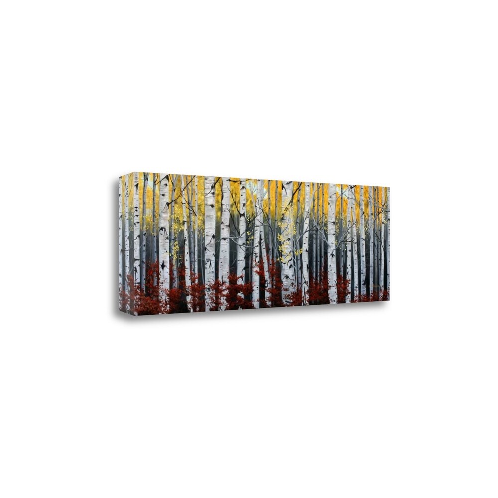 Birch Forest by Julie Peterson - Premium Fine Art Giclee Print on Gallery Wrap Canvas, Ready to Hang Wall Decor for Living Room, Bedroom & Office