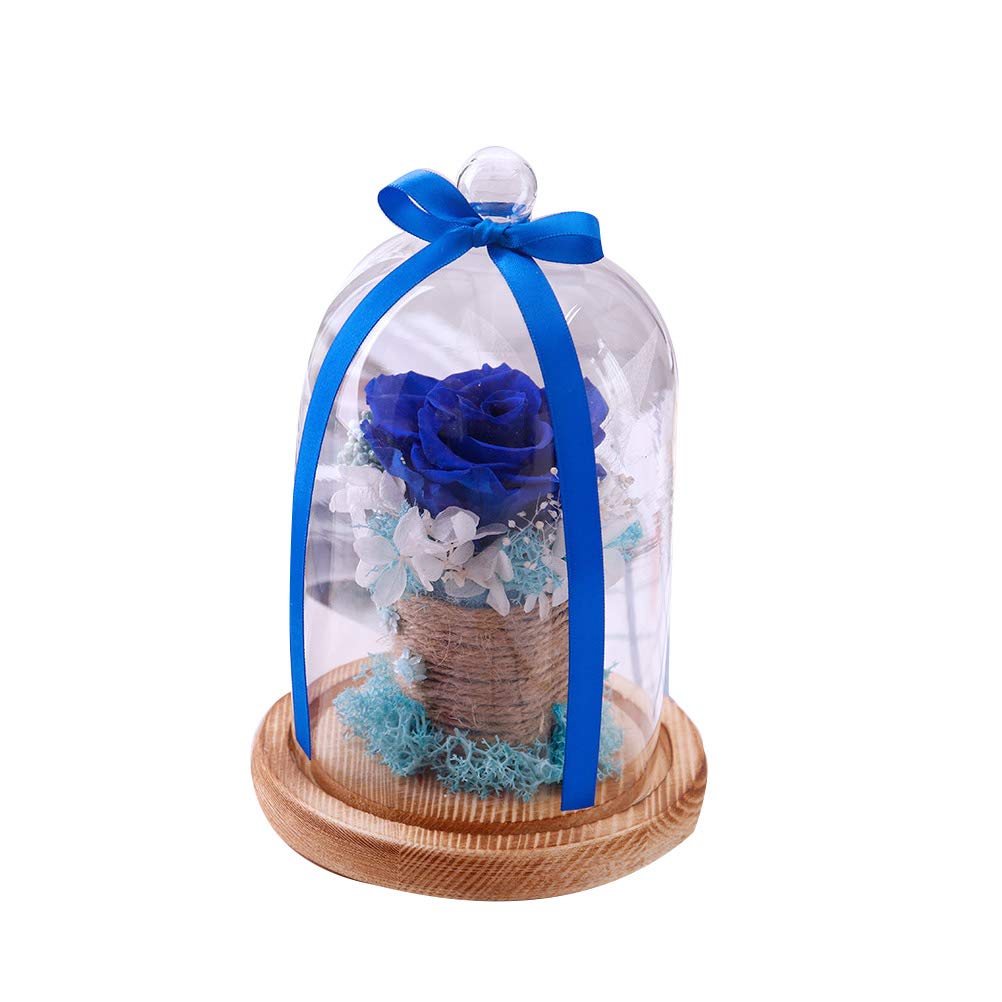 Amosfun Eternal Preserved Rose in Glass Dome - Blue Real Flower Gift for Girlfriend, Wife, Valentine's Day, Anniversary & Romantic Occasions - DIY Home Decor & Party Supplies