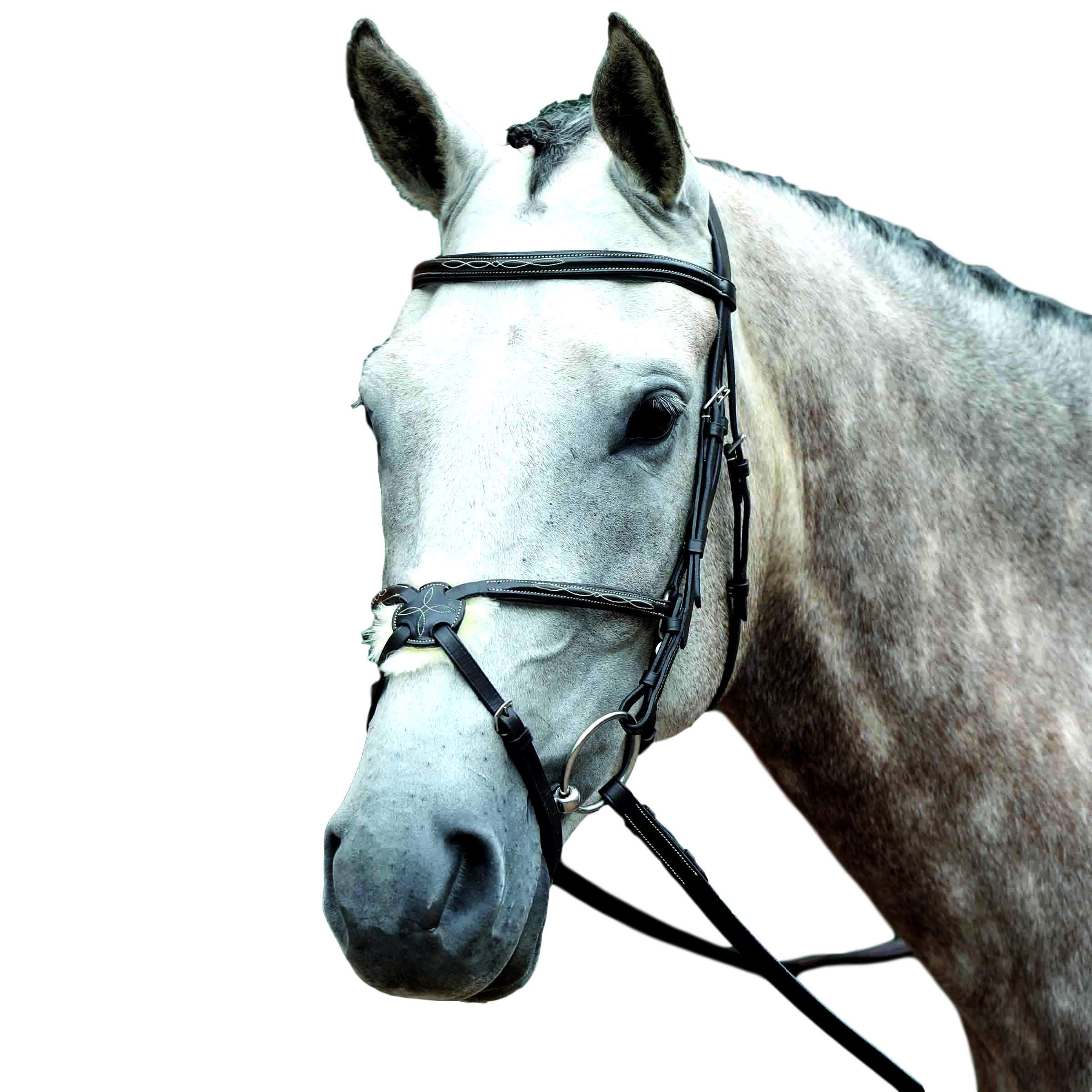 Premium Collegiate Essential Padded Raised Figure 8 Bridle with Fancy Stitching - Warmblood Size, Rich Brown Leather for Comfort & Control - Perfect for Dressage, Jumping & Equestrian Training
