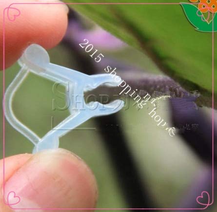 Kammas Garden Supplies - Professional Plant Grafting Clips for Vegetables & Fruits (Eggplant, Watermelon, Muskmelon) | Durable Seedling Clips for Gardening & Greenhouse Use