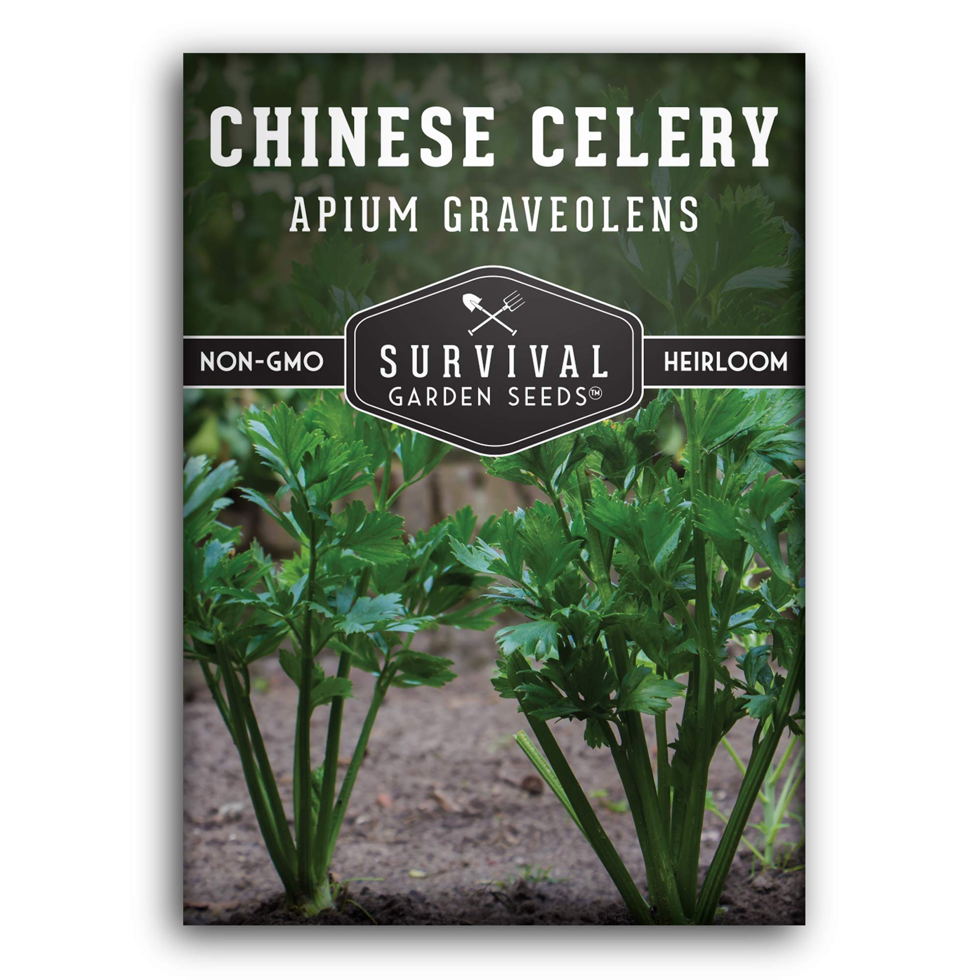 Non-GMO Heirloom Chinese Celery Seeds for Planting - Grow Asian Celery at Home with Easy Instructions - Survival Garden Seeds for Vegetable Gardening | Perfect for Home Gardens, Urban Farming & Asian Cuisine