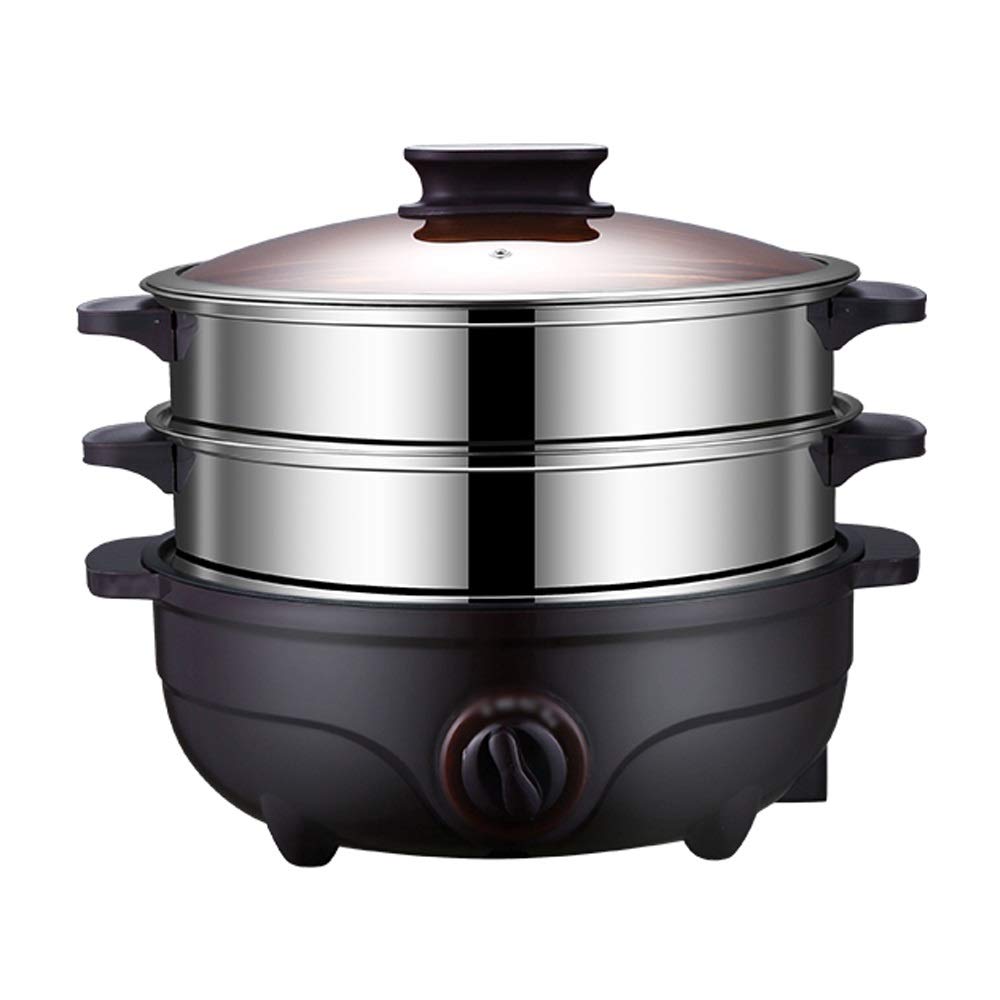 HYDZQ Double-Layer Stainless Steel Electric Food Steamer - Automatic Timer Hot Pot Cooker for Healthy Meals | Perfect for Dumplings, Vegetables & Seafood | Home & Restaurant Use