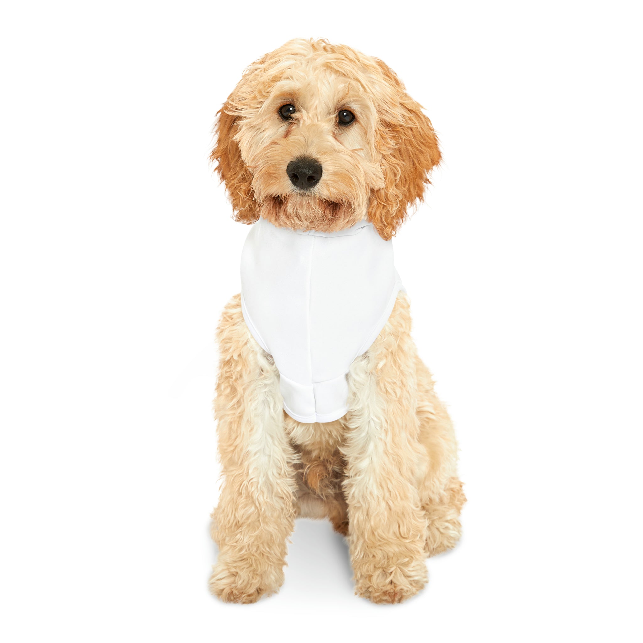 Premium Pet Hoodie for Dogs & Cats - Cozy Fleece Winter Sweater - Perfect for Cold Weather & Outdoor Adventures