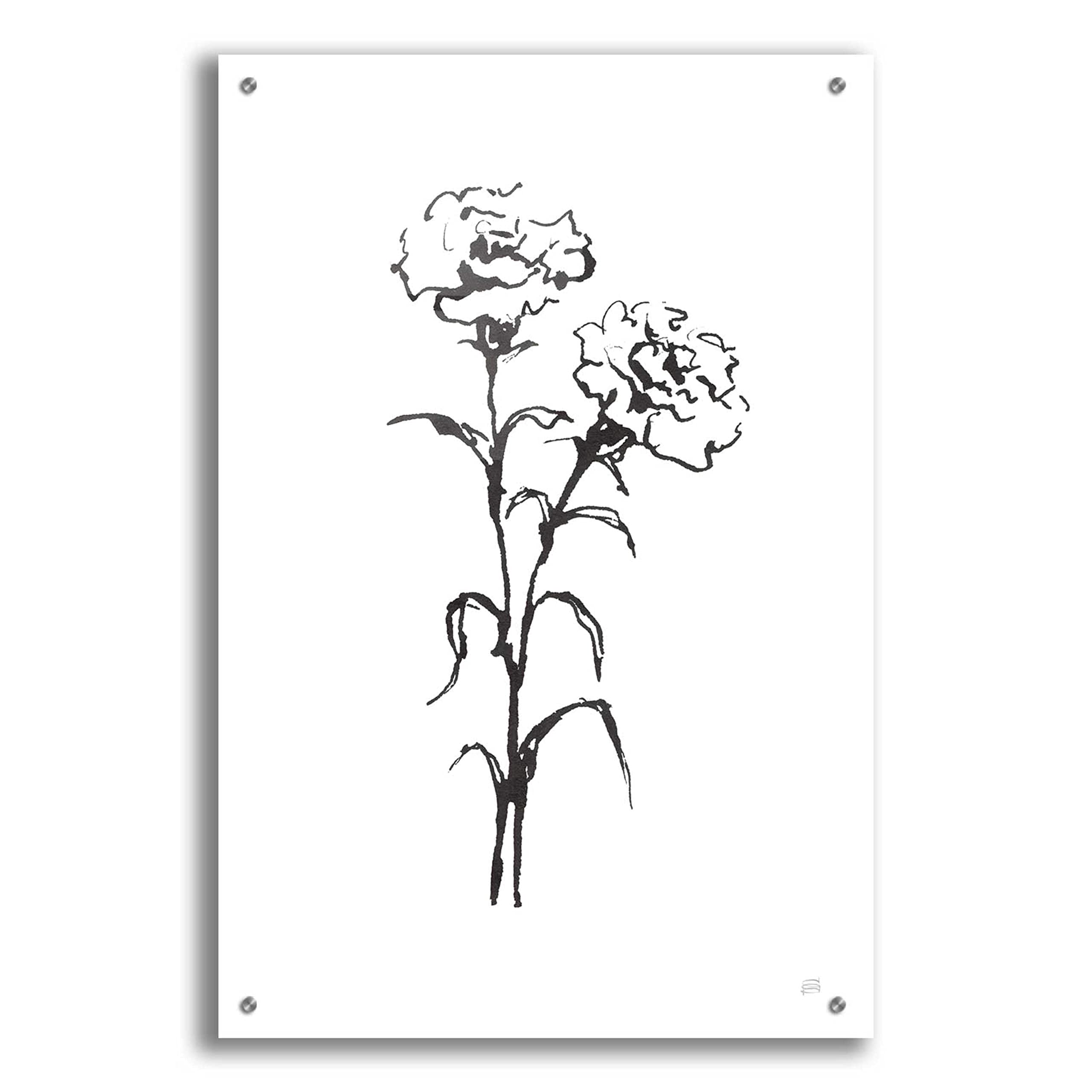 Chris Paschke Line Carnation II Acrylic Glass Wall Art - 24x36 Inches Modern Abstract Painting for Living Room, Bedroom & Office Decor