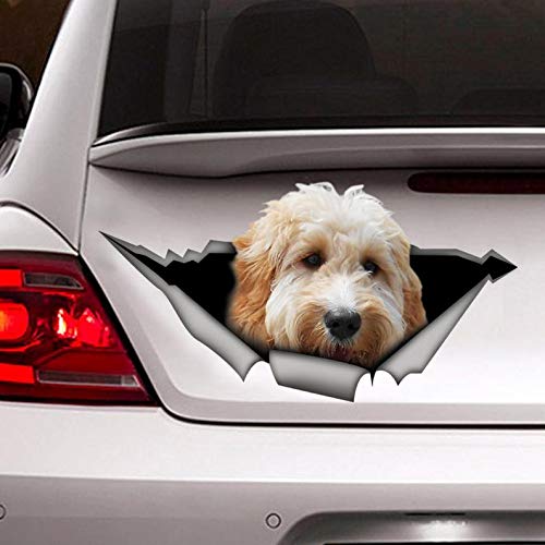 White Goldendoodle Car Decal Vinyl Sticker - 15 Inch Waterproof Decorative Sticker for Cars, Windows, Walls, Fridge & More - Perfect for Pet Lovers, Home Decor & Office Decoration