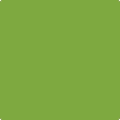 2029 30 Rosemary Green - Premium Rosemary Essential Oil for Aromatherapy, Relaxation & Hair Care - Perfect for Diffusers, Massage & DIY Beauty Products