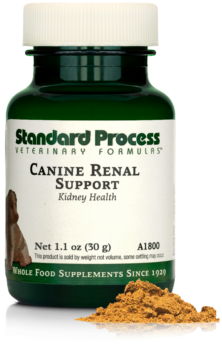 Premium Canine Renal Support Supplement for Dogs - 1.1 oz (30g) - Supports Kidney Health & Function - Ideal for Senior Dogs or Pets with Kidney Issues