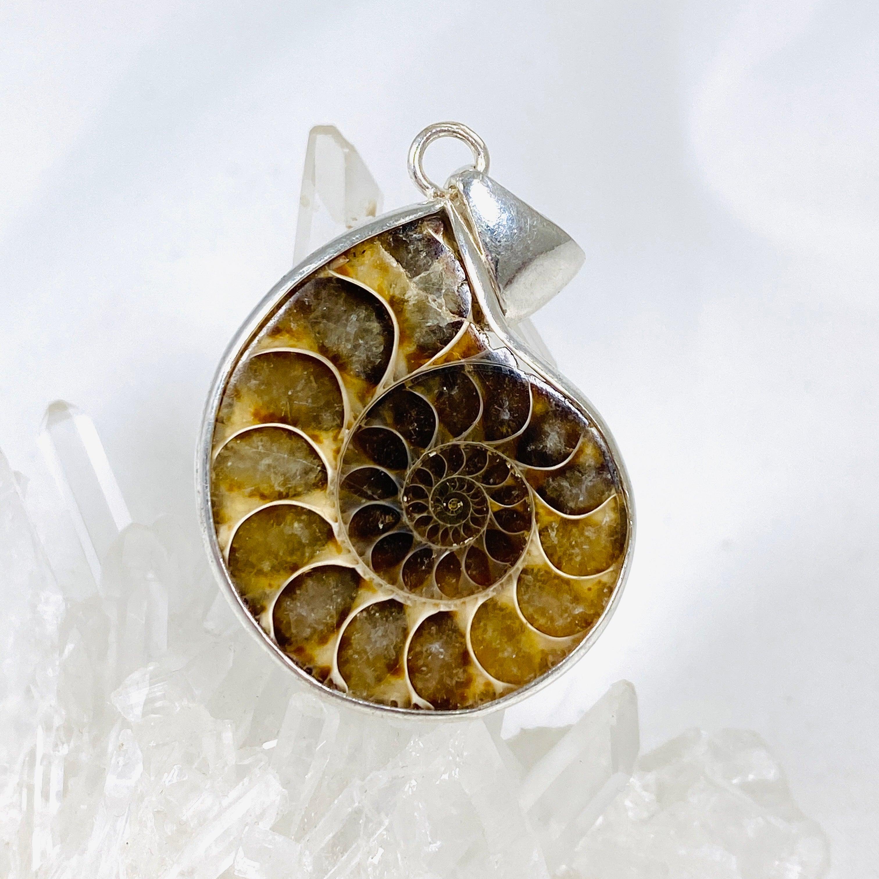 Natural Ammonite Shell Pendant Necklace - Unique Fossil Jewelry for Women & Men - Perfect for Boho Style, Spiritual Healing & Gift Giving
