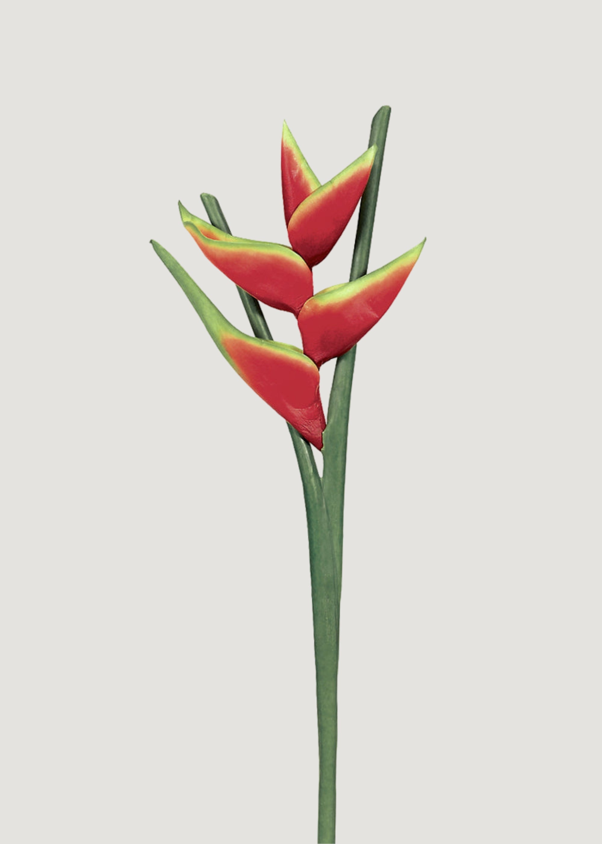 Artificial Red Hawaiian Heliconia Tropical Flower - 34