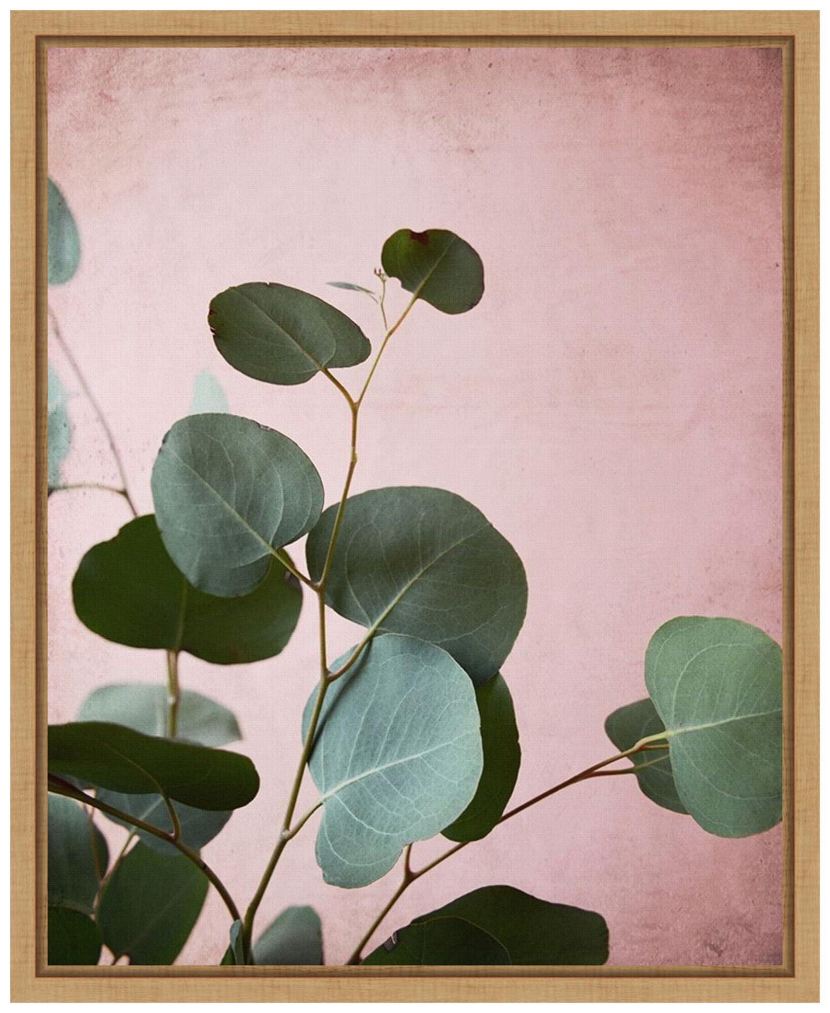Amanti Art Framed Canvas Wall Art 20x16 - Sage Eucalyptus No.2 by Lupen Grainne - Nature Inspired Modern Decor - Ready to Hang Painting for Living Room, Bedroom, Bathroom & Office - Perfect for Home, Apartment & Workspace Decor