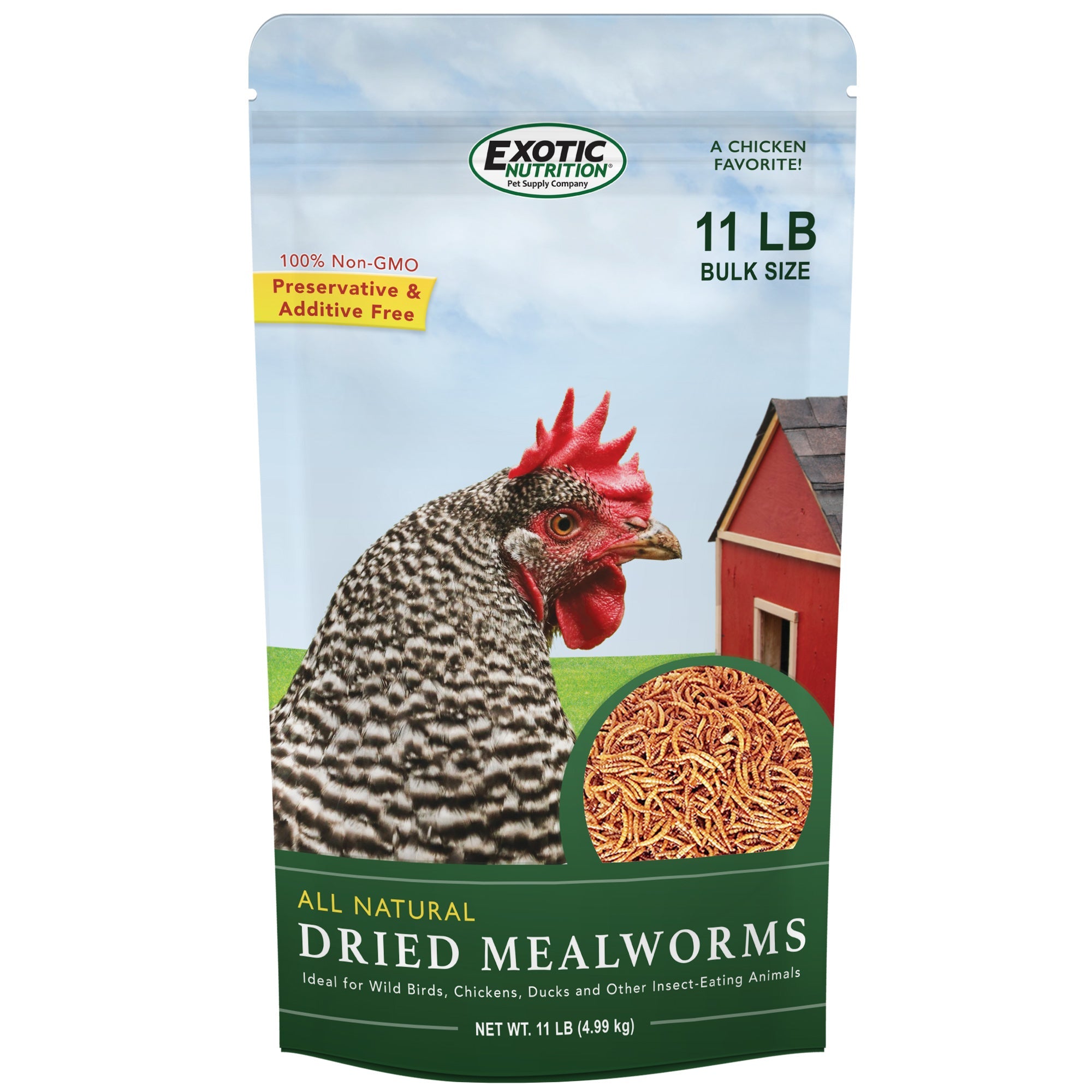 Premium Dried Mealworms Bulk - High Protein Natural Bird & Chicken Feed - Perfect for Wild Birds, Poultry, Reptiles & Fishing Bait