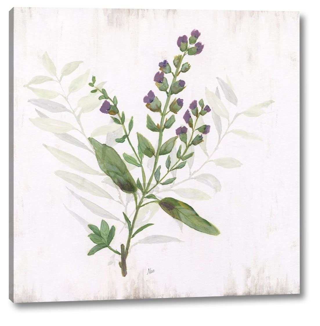 Kitchen Garden II by Nan - 30x30 Inch Modern Canvas Wall Art Print - Gallery Wrapped Framed Ready to Hang - Perfect for Kitchen Decor, Dining Room, or Farmhouse Style Home
