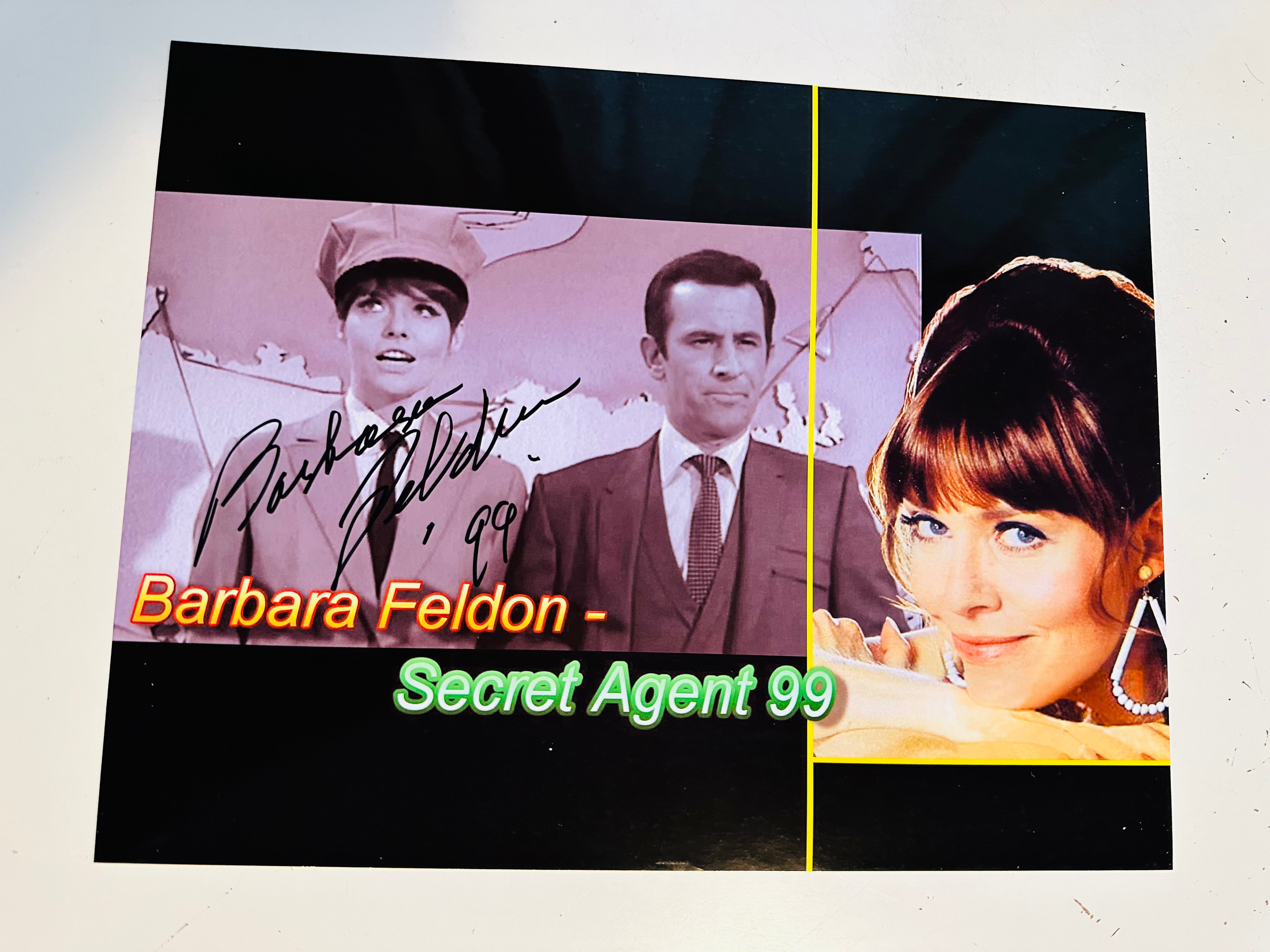 Rare Barbara Feldon Signed 8x10 Photo from Get Smart TV Show with COA - Perfect for Collectors, Fans, and Memorabilia Displays